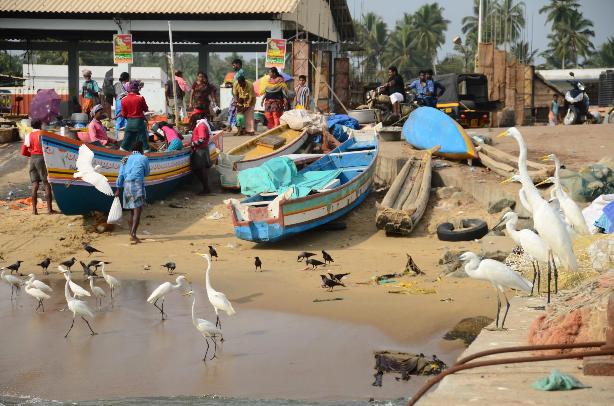 Global Ambassadors (India) Update: Part 1 - A Reportback from our Ecotourism Team