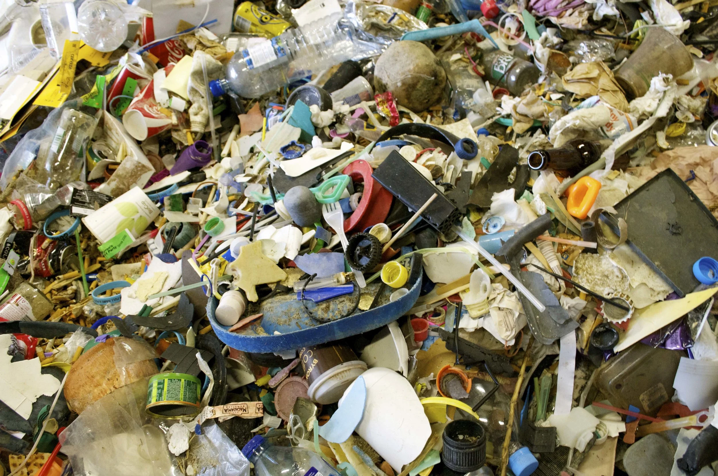 Bare Witness Part 1: What Does Byron's Litter Really Look Like?