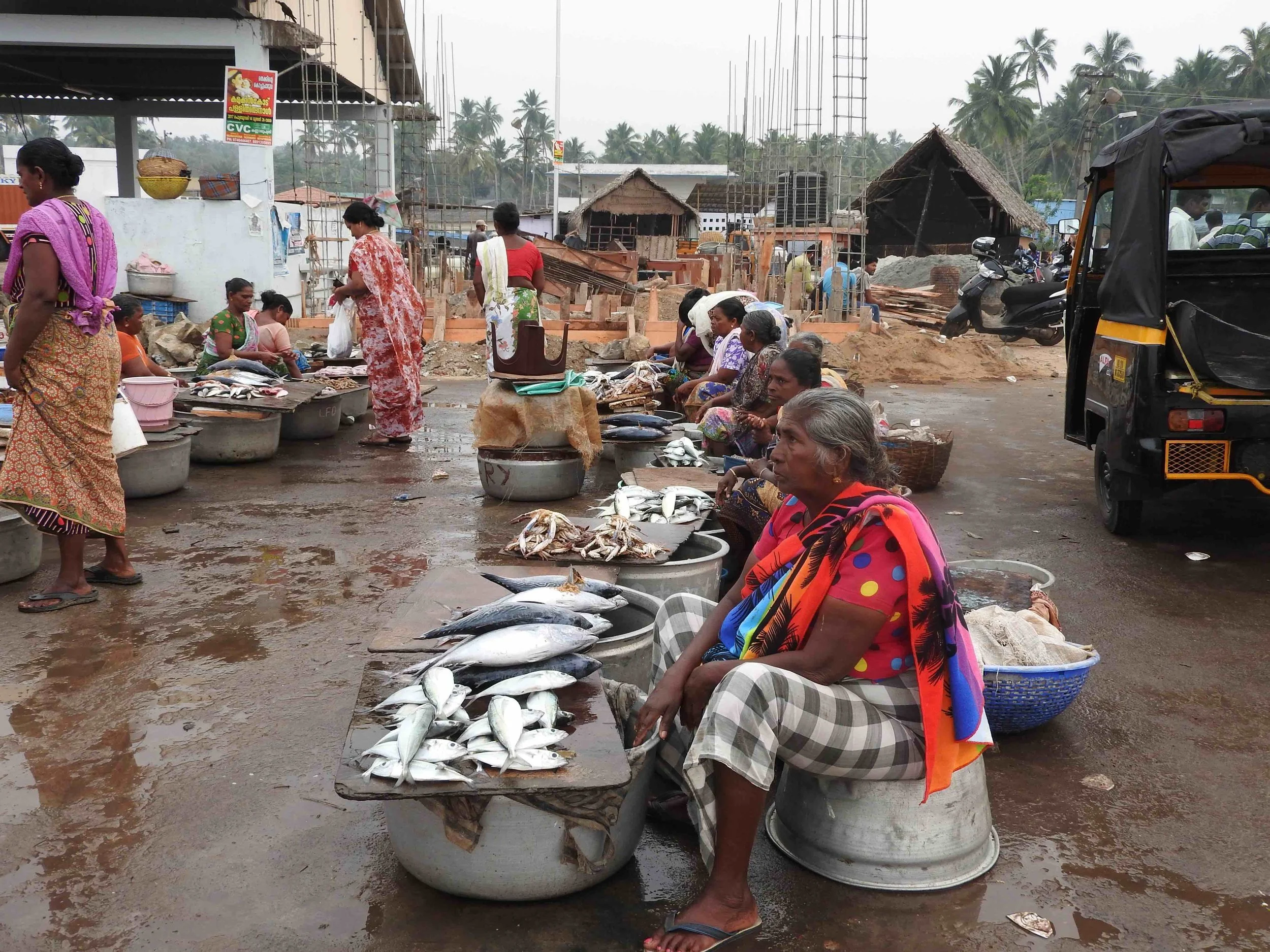 Global Ambassadors (India): Adapting to an uncertain future - the fishing community of Vizhinjam.