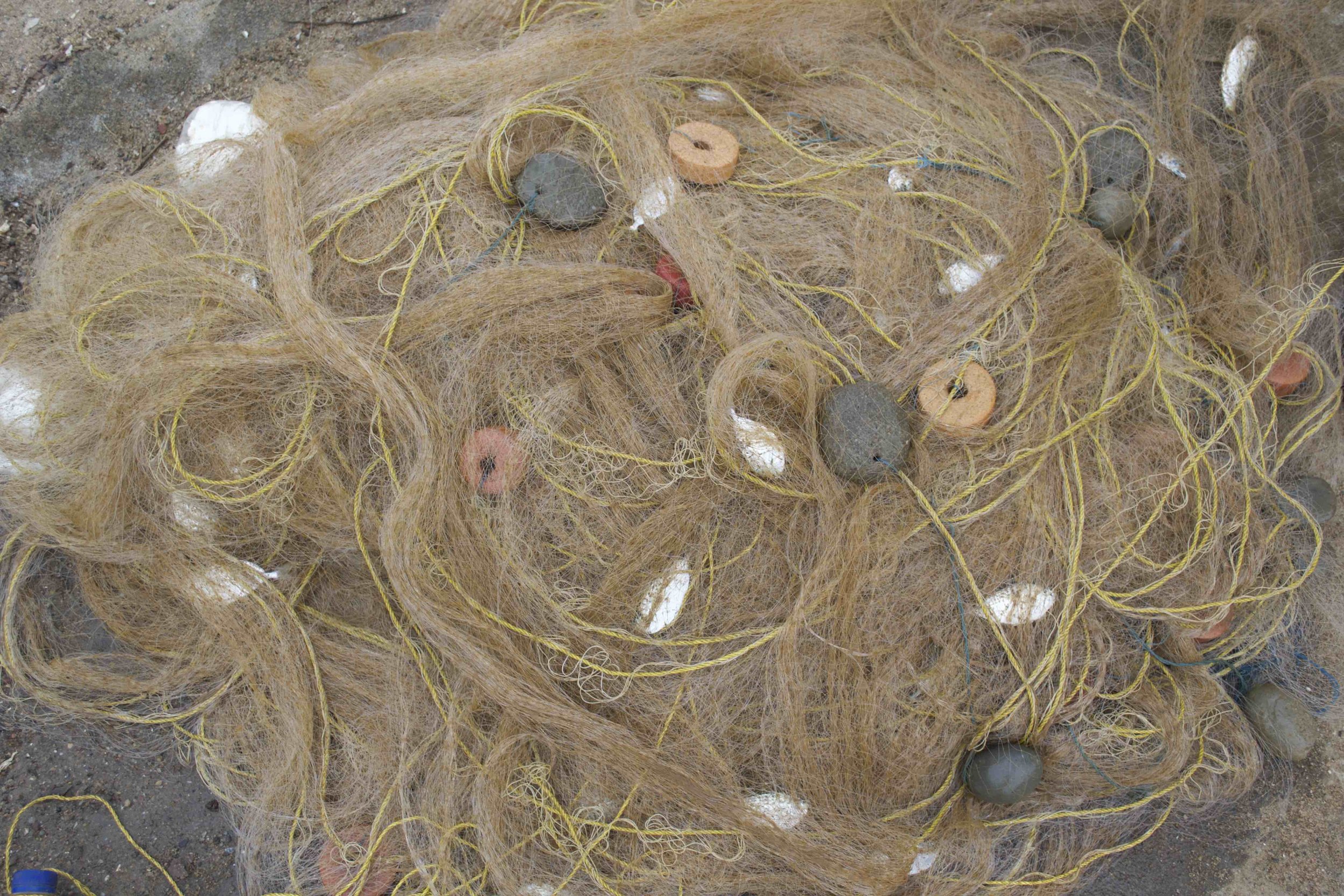 Small catches such as reflected here in this driftnet paint an alarming picture of an all too common trend in declining fisheries across the globe.