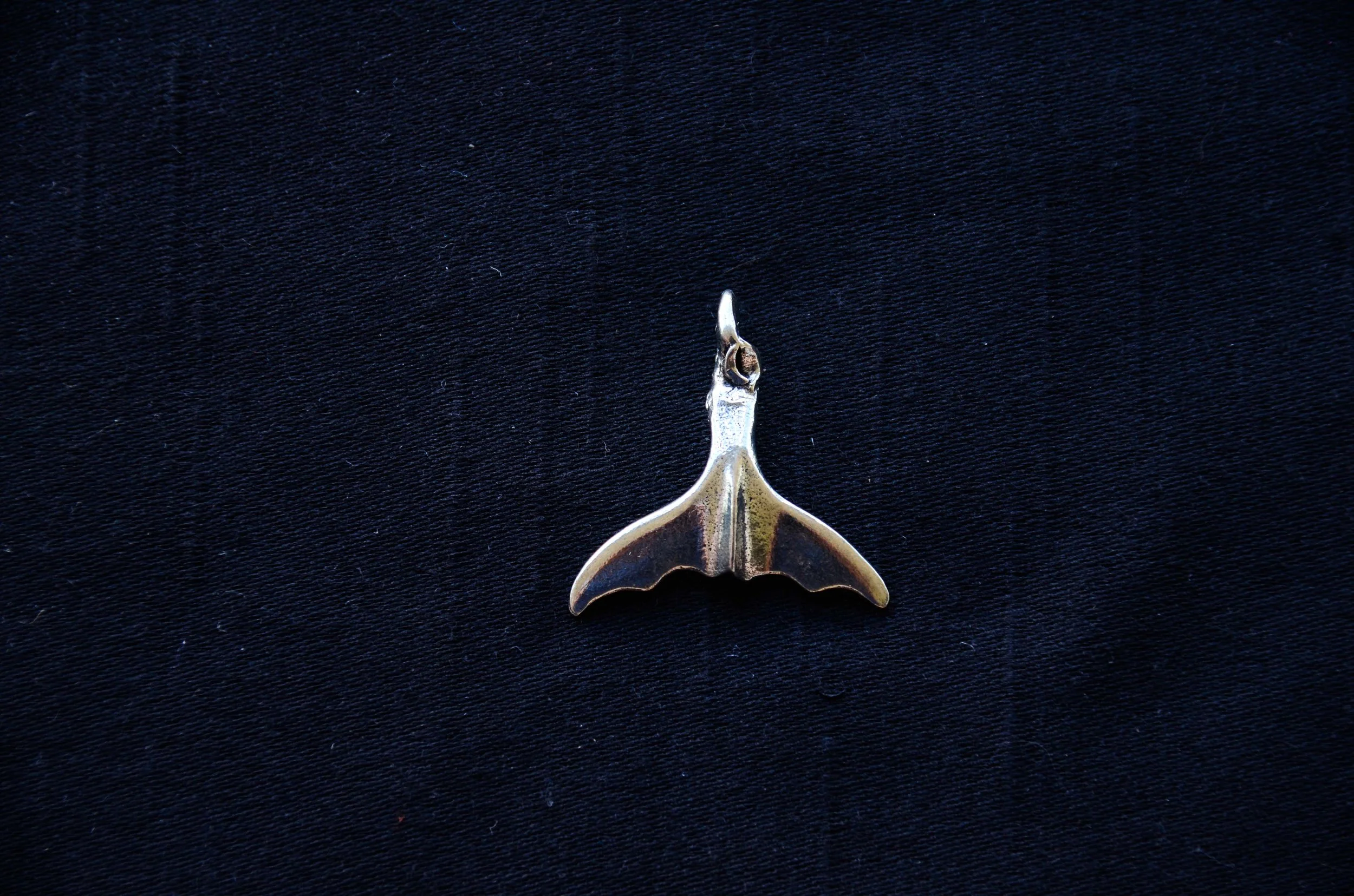 DSC_9382.jpg