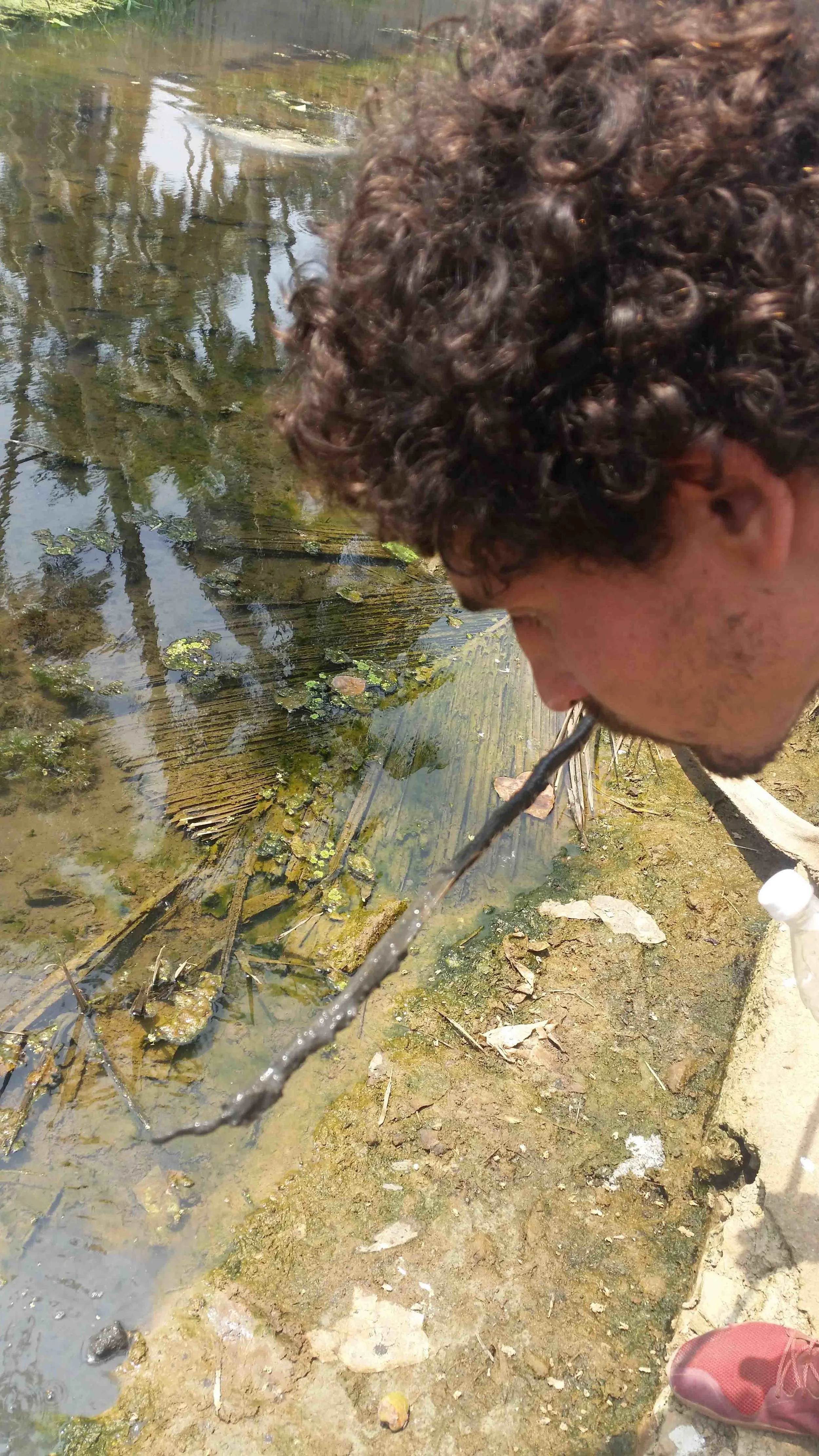 Matth assessing nutrient levels of the sediment through smell.