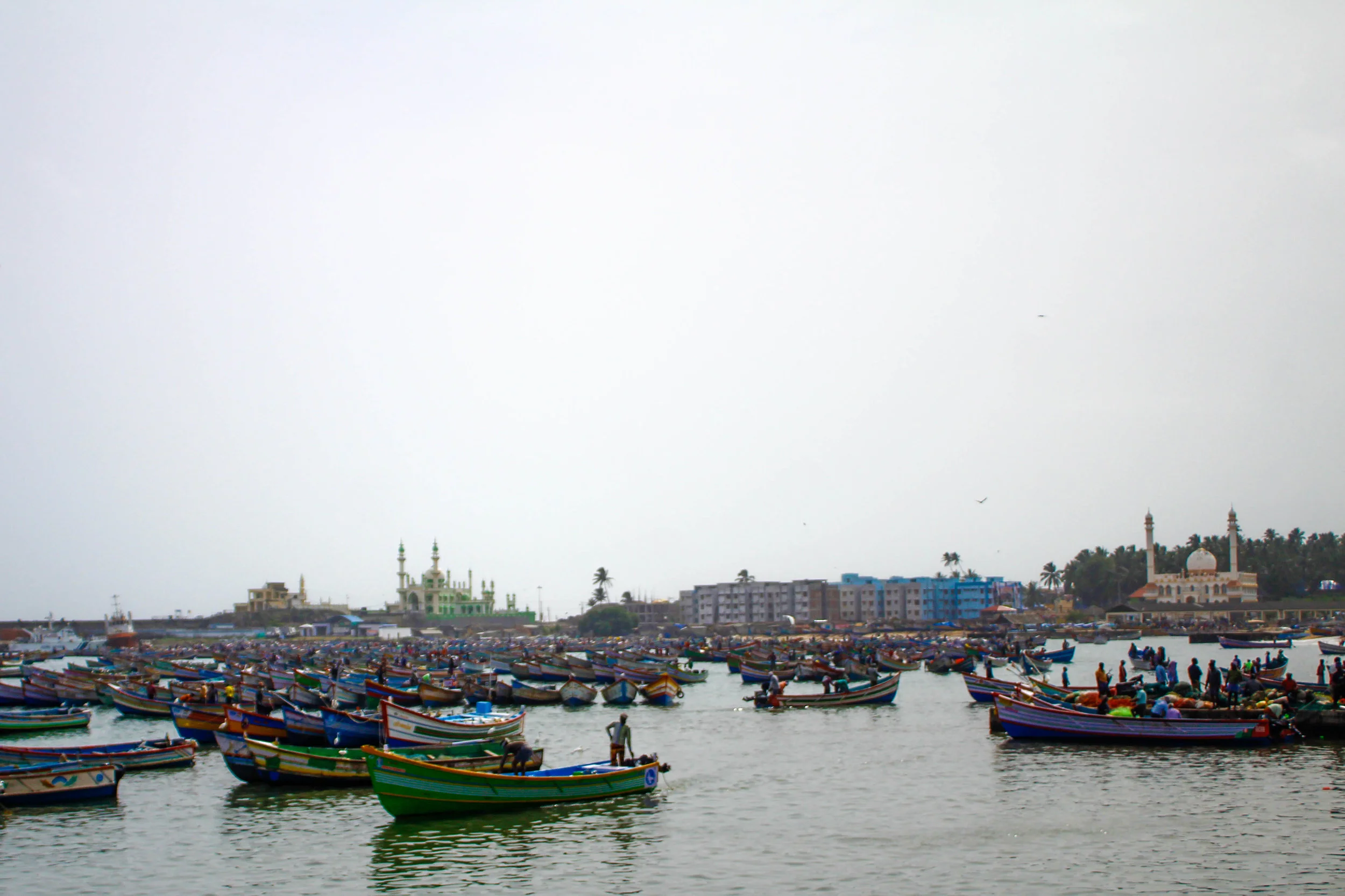 India: Plastic Free for the Sea