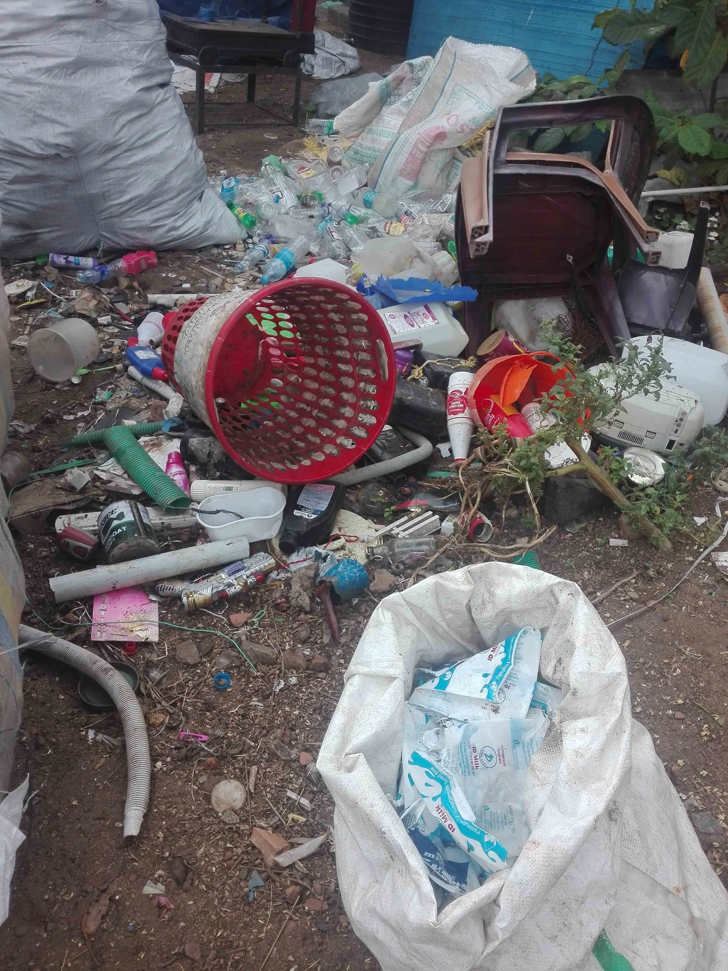 Sustainable Consultancy Services