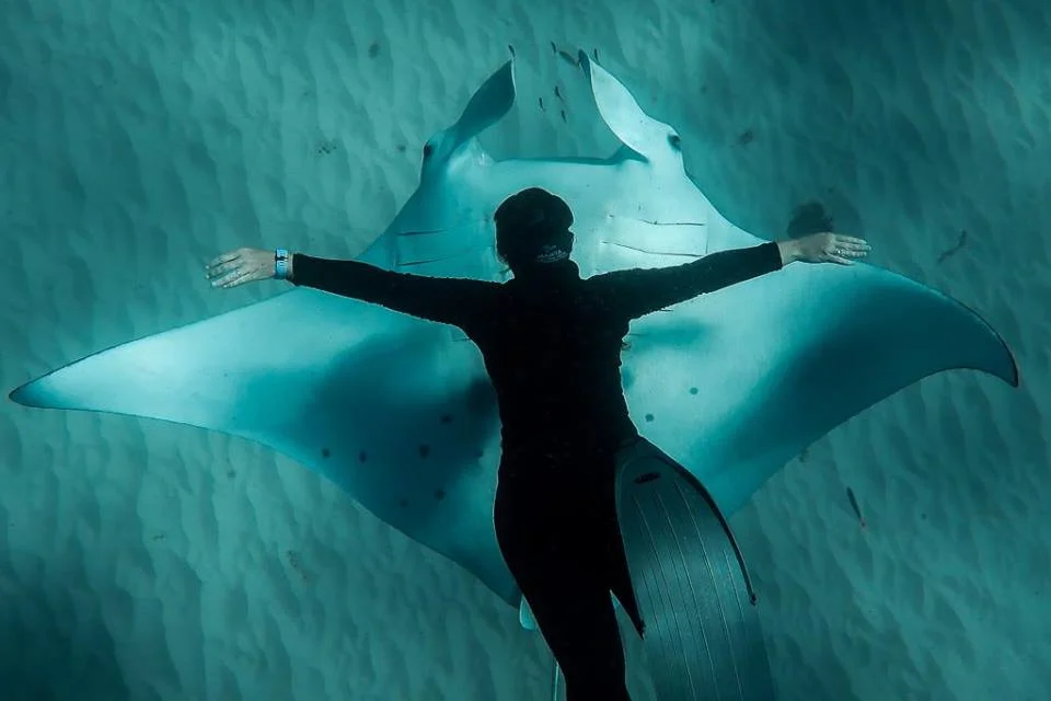 Help Asia raise $2k for our oceans!