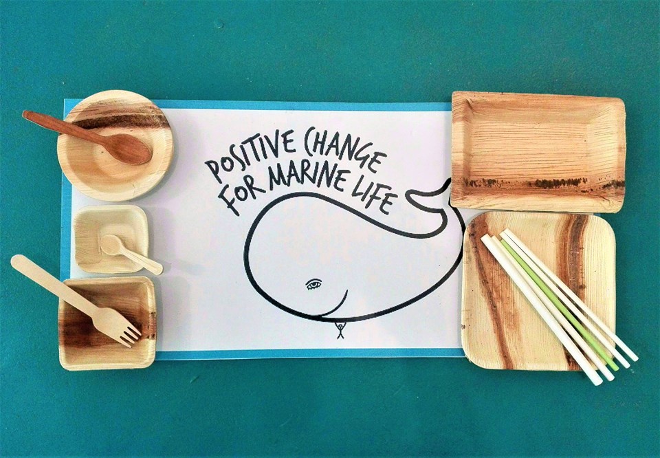 These Areca leaf products are sustainably sourced (from fallen palm fronds). We will be using them as a replacement for single-use plastics and polystyrene at vendors across the beaches of Kovalam!