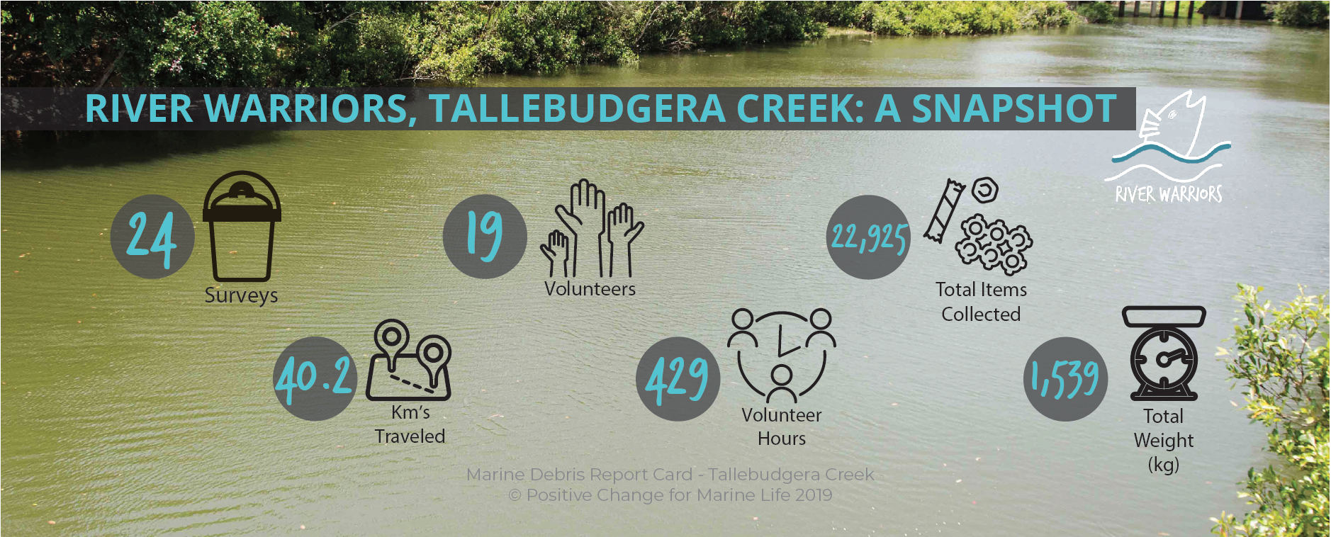 A snapshot of our findings, including surveys, km travelled, volunteer hours and totals.