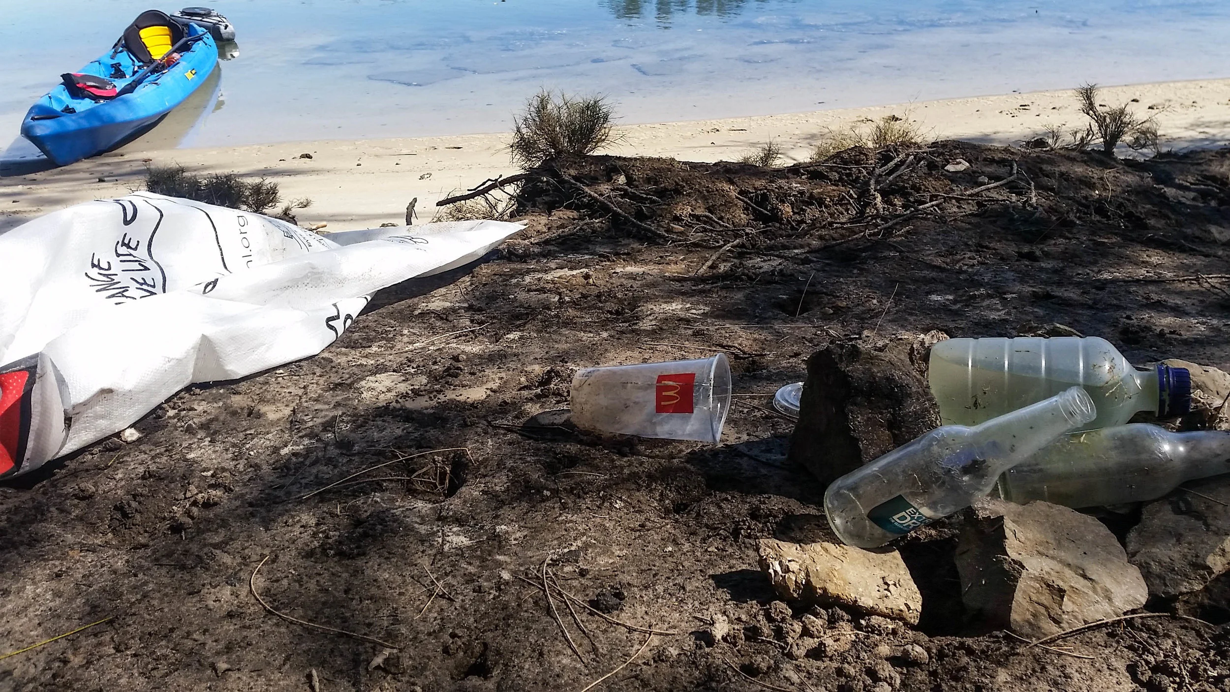 Plastic cups, bottles and other trash. A common site along the banks of the Tallebudgera Creek and one that our team hopes to address.