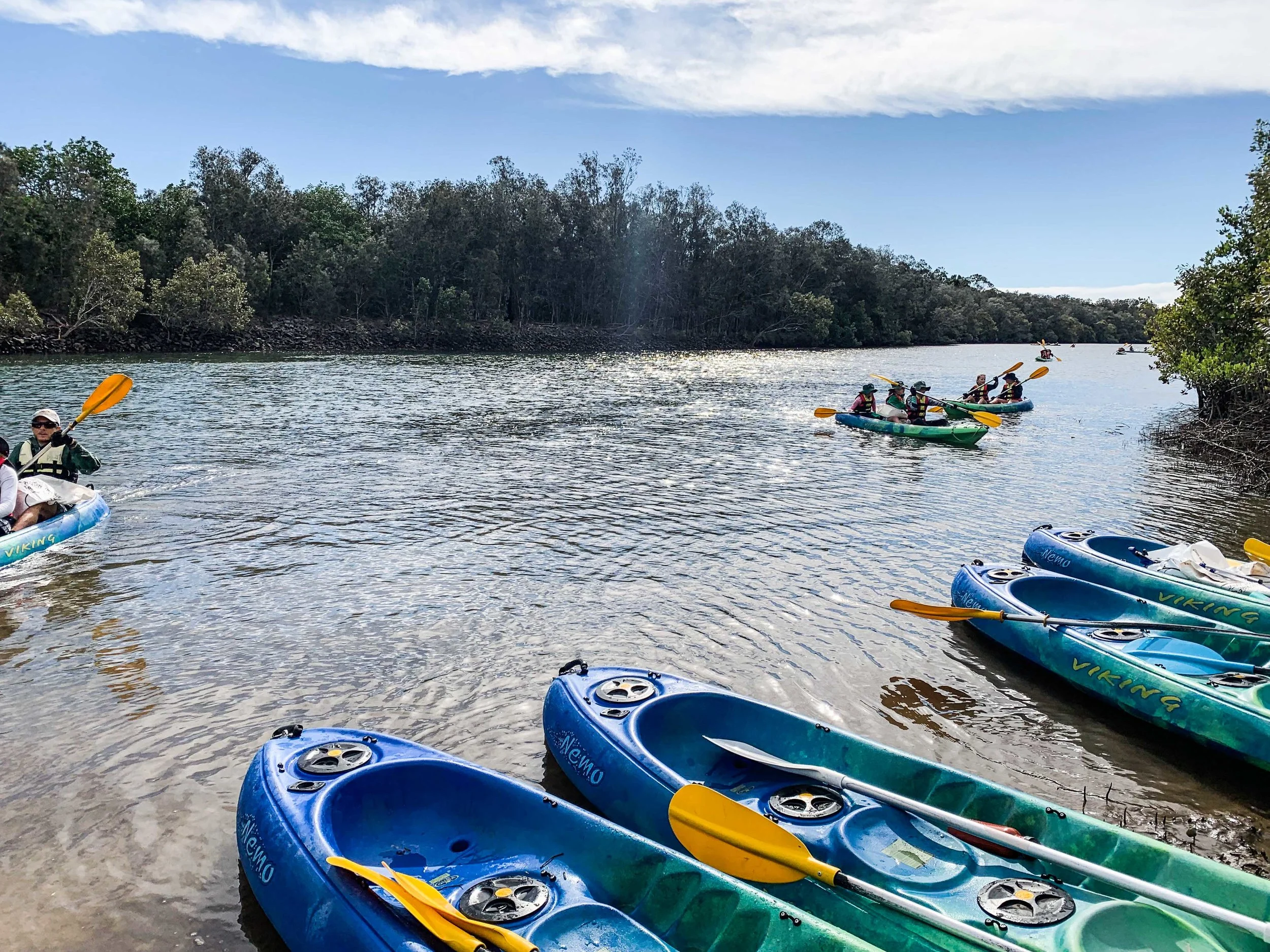 Heading out from Creekside Park, Elanora.