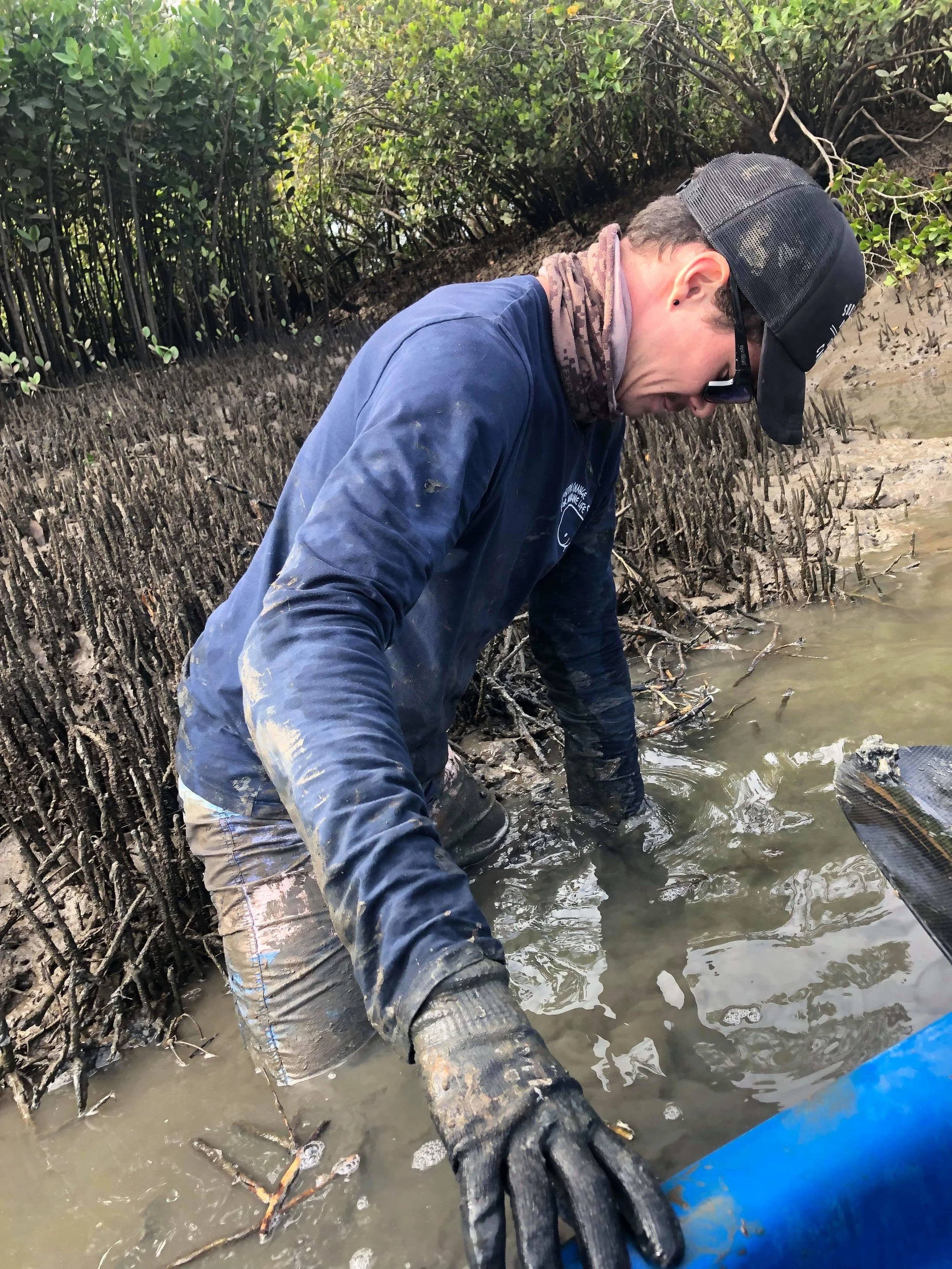 Our River Warriors Redlands Coordinator Kyle Debets, getting his hands dirty to retrieve debris from the mangroves in Tingalpa Creek.