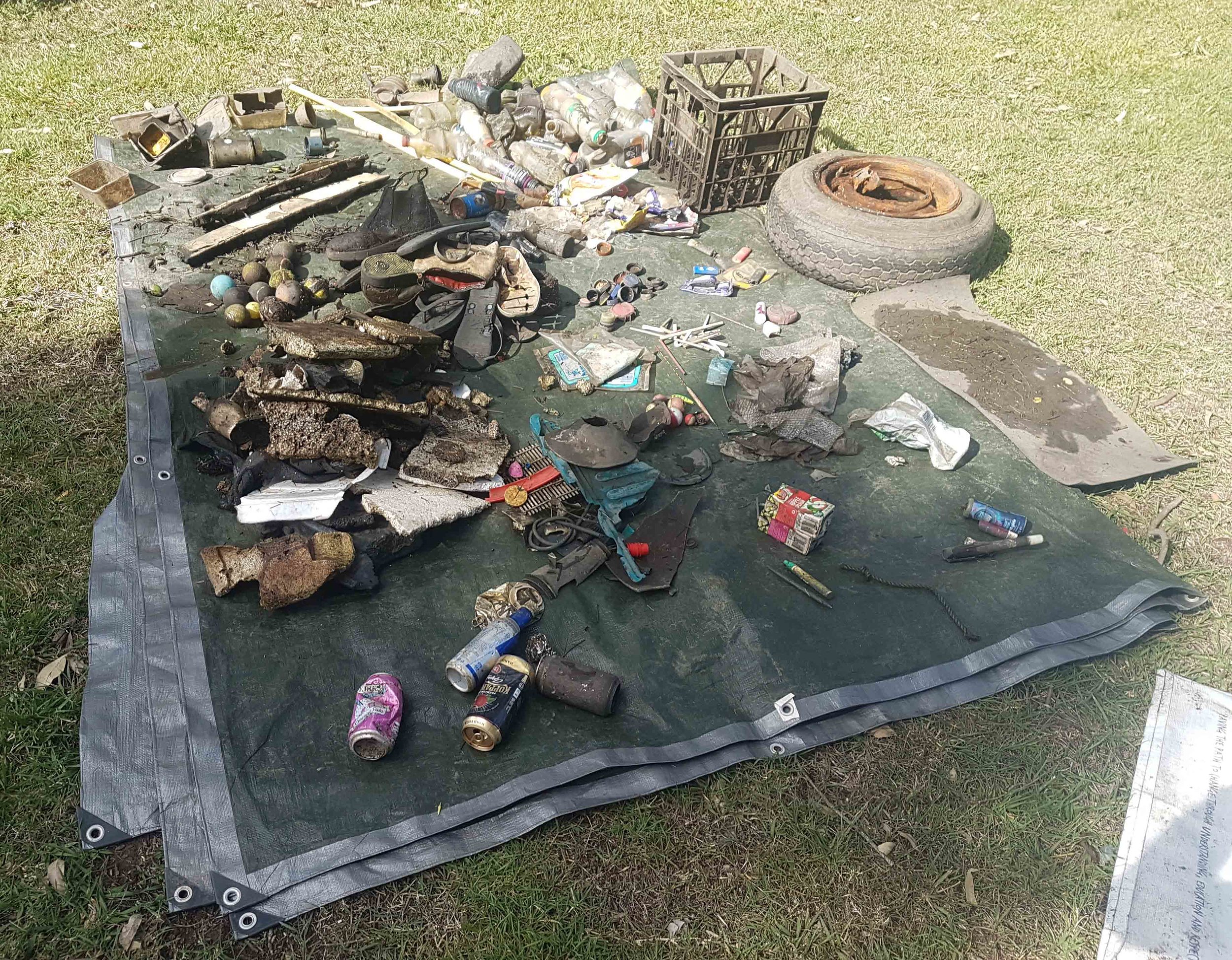 A standard haul from one of our Tingalpa Creek surveys.