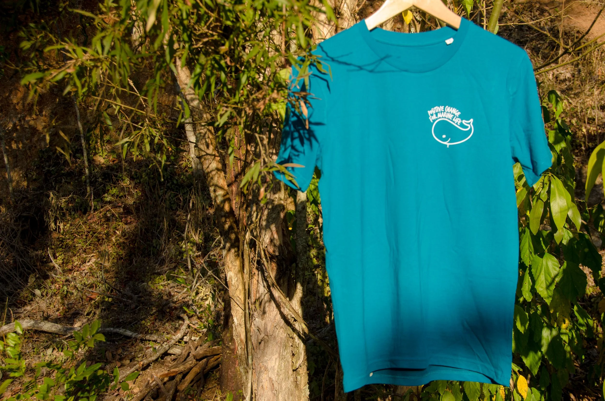 Positive Change for Marine Life Marine Conservation Through