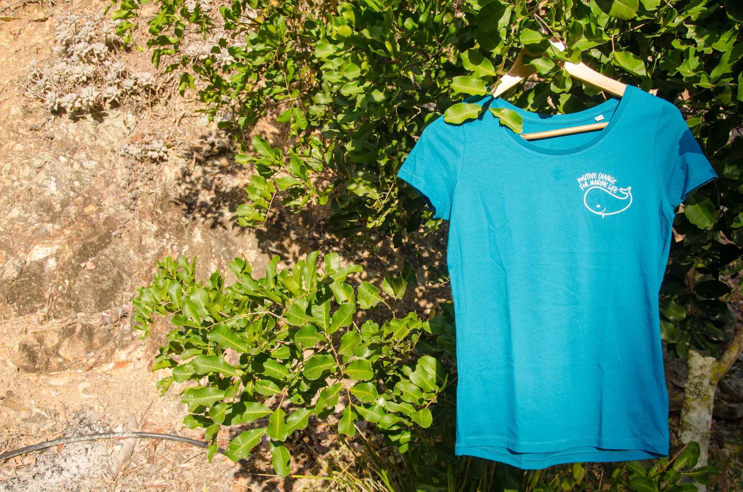 100% Organic Ocean Turquoise Tees (Women's)