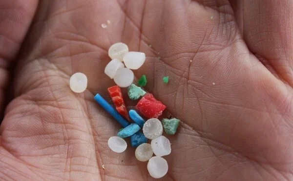 Microplastics Queensland