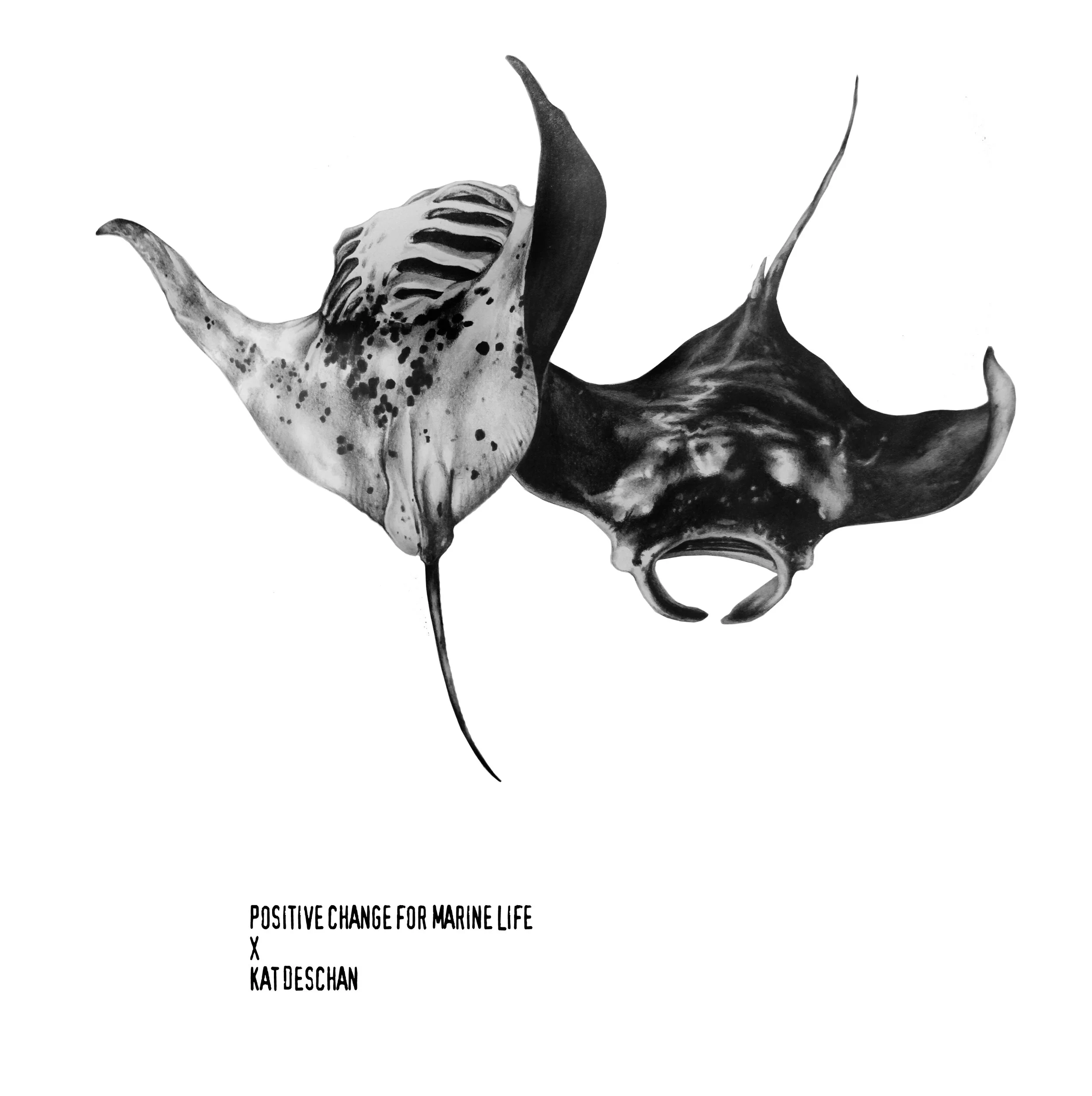 Mantas.jpg