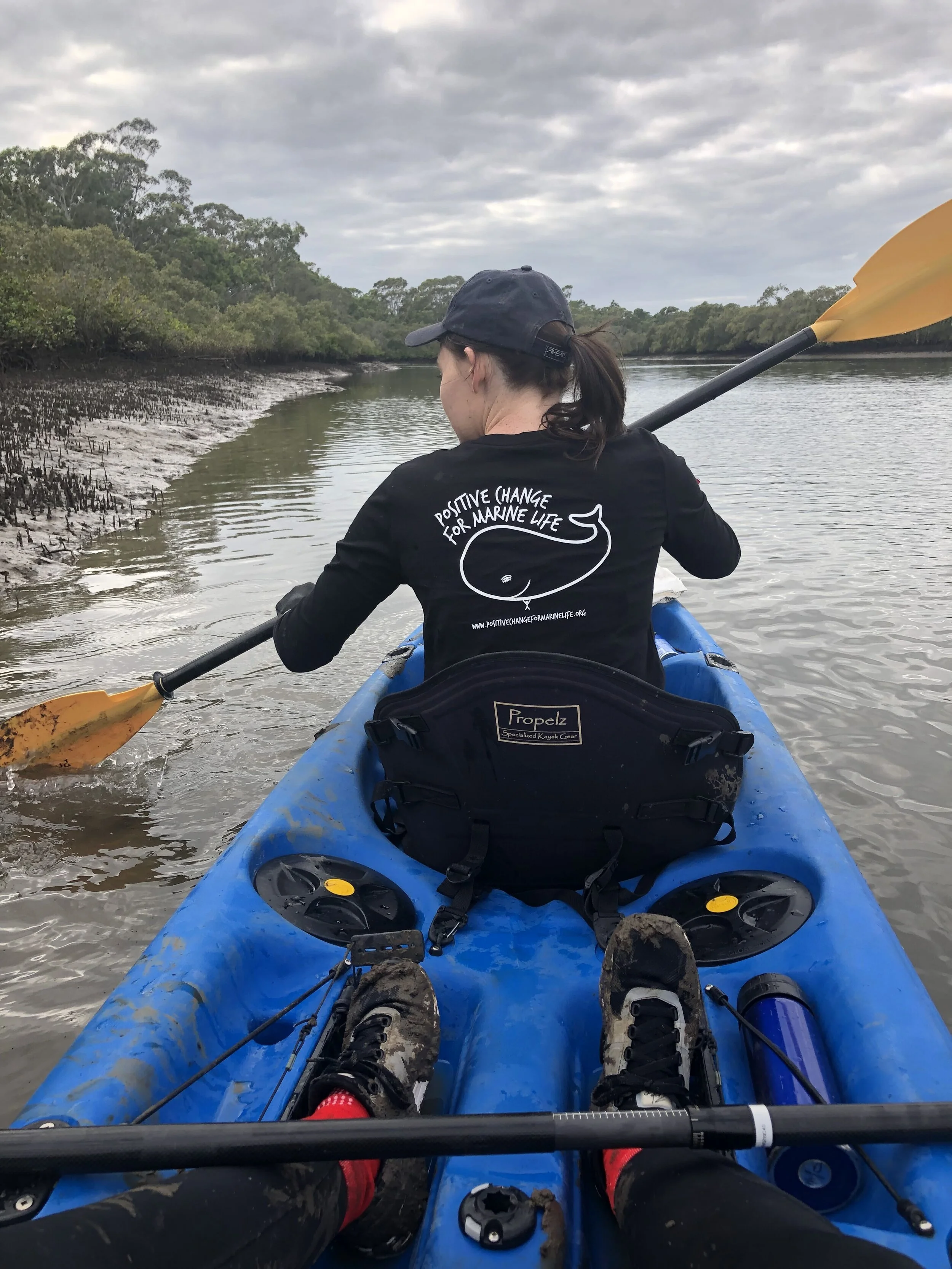 River Warriors waterway remediation Redlands Brisbane