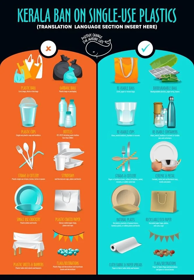 Our new poster (English version), highlighting what’s banned and sustainable alternatives as a result of the state plastics ban that we helped to get across the line!