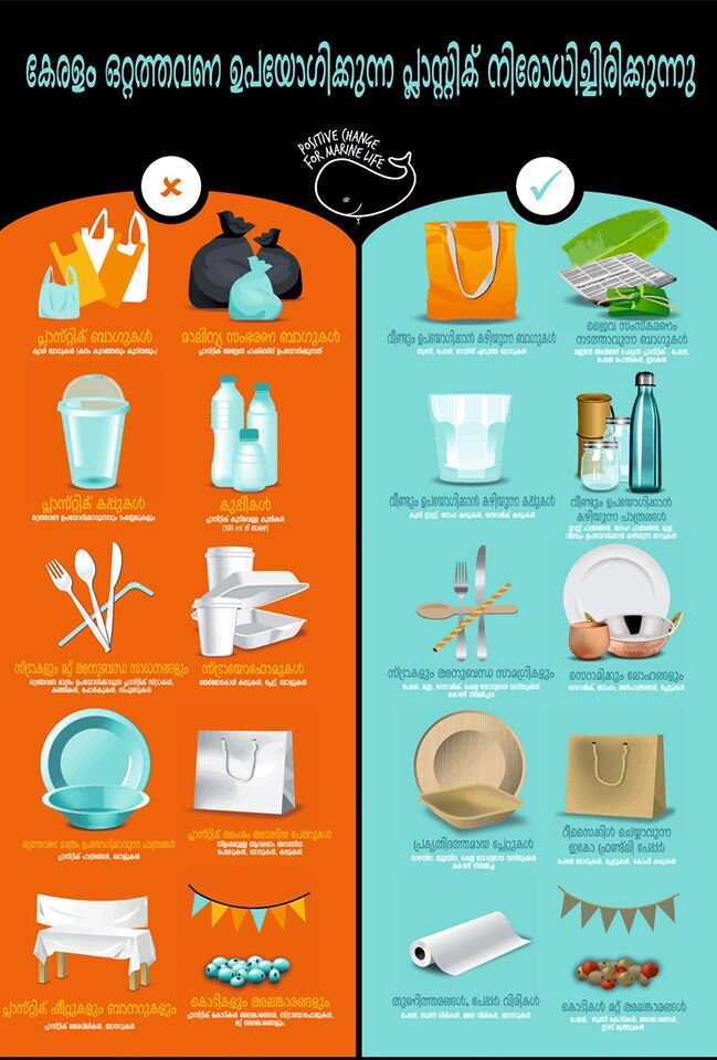 Our new poster (Malayalam version), highlighting what’s banned and sustainable alternatives as a result of the state plastics ban that we helped to get across the line!