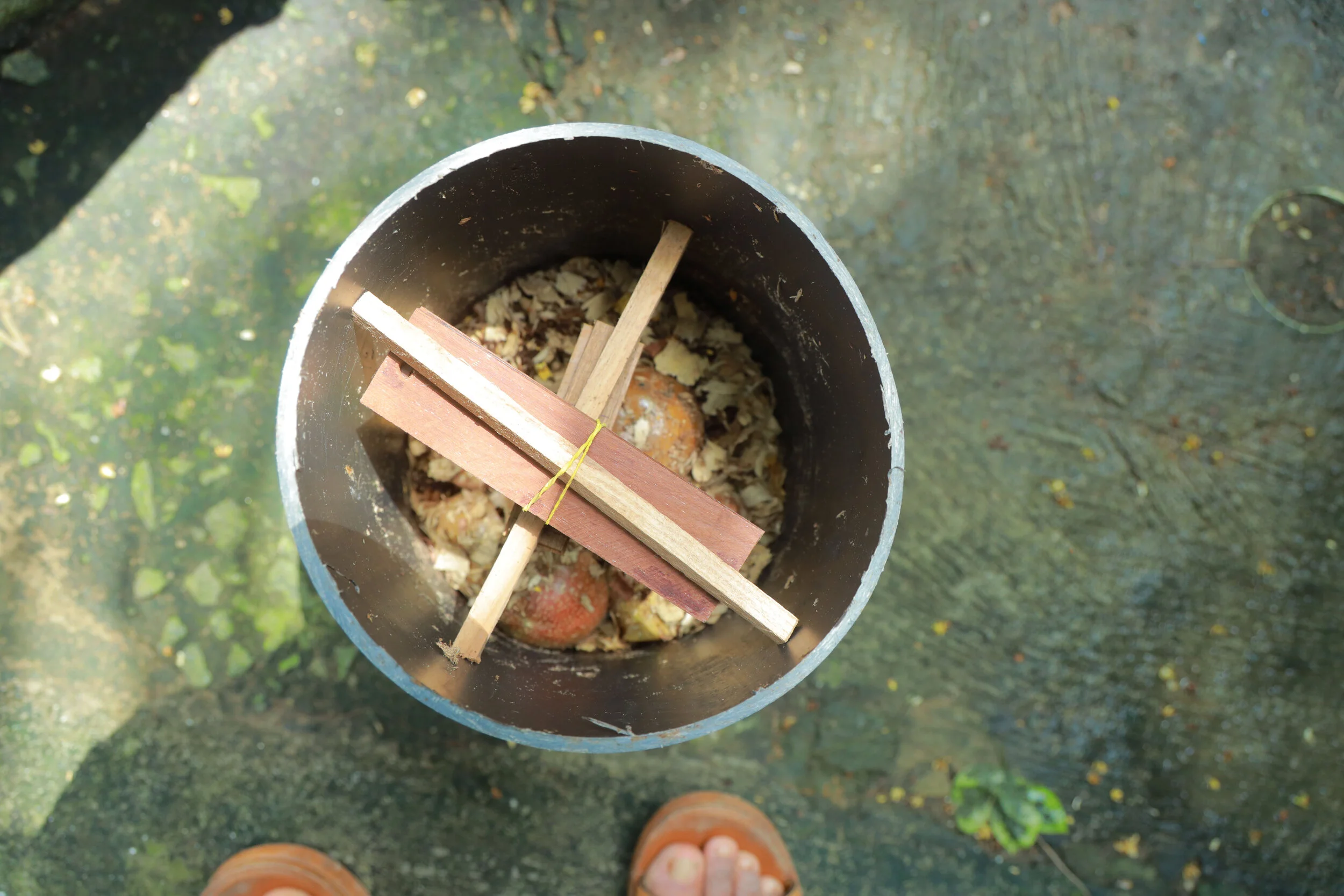 A small contraption to attract Black Soldier Flies to lay their eggs in. In turn, the hatched fly larvae feed our composting system!