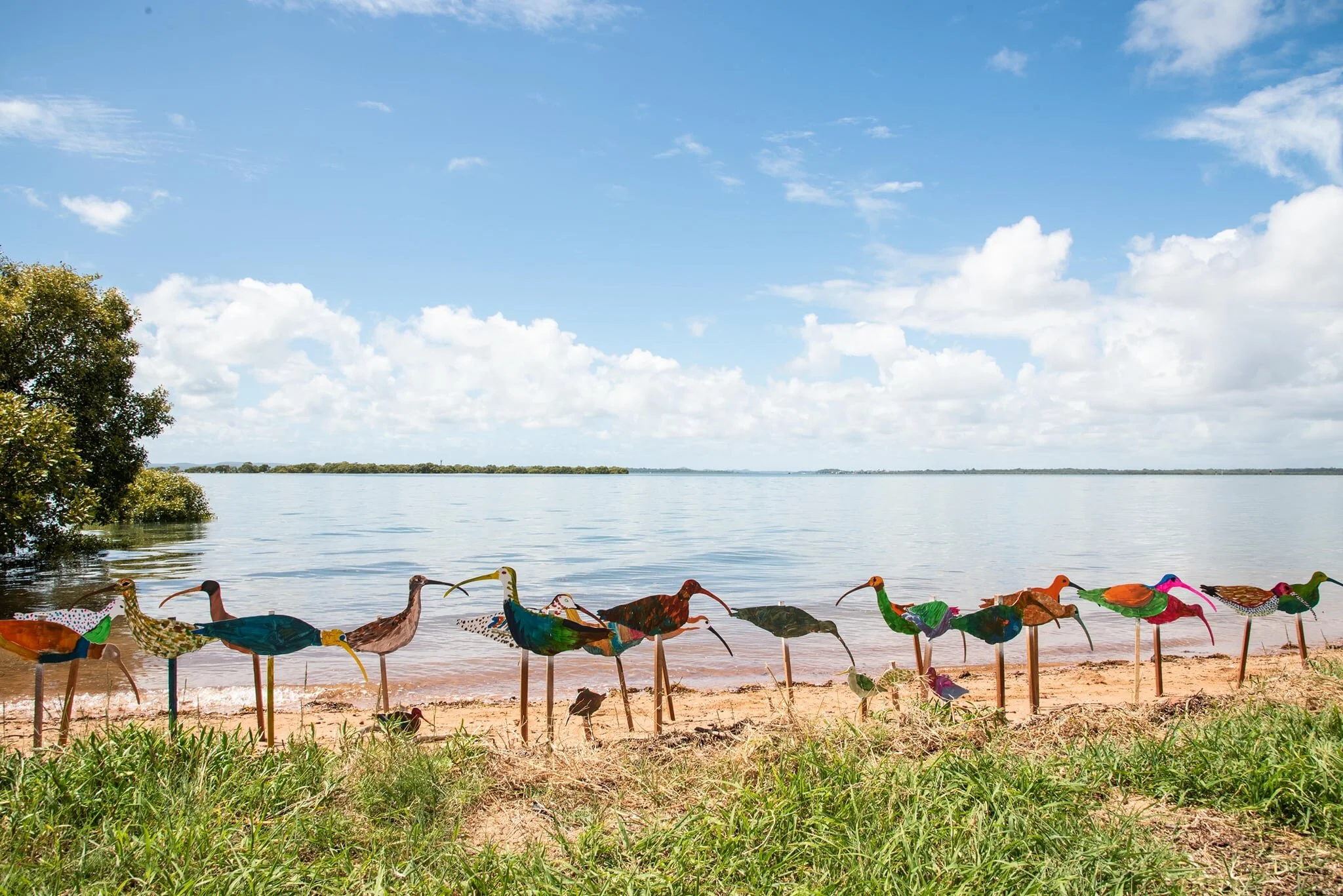 Australia's wetlands are incredibly unique - providing diverse habitats and nursery grounds to a range of species.