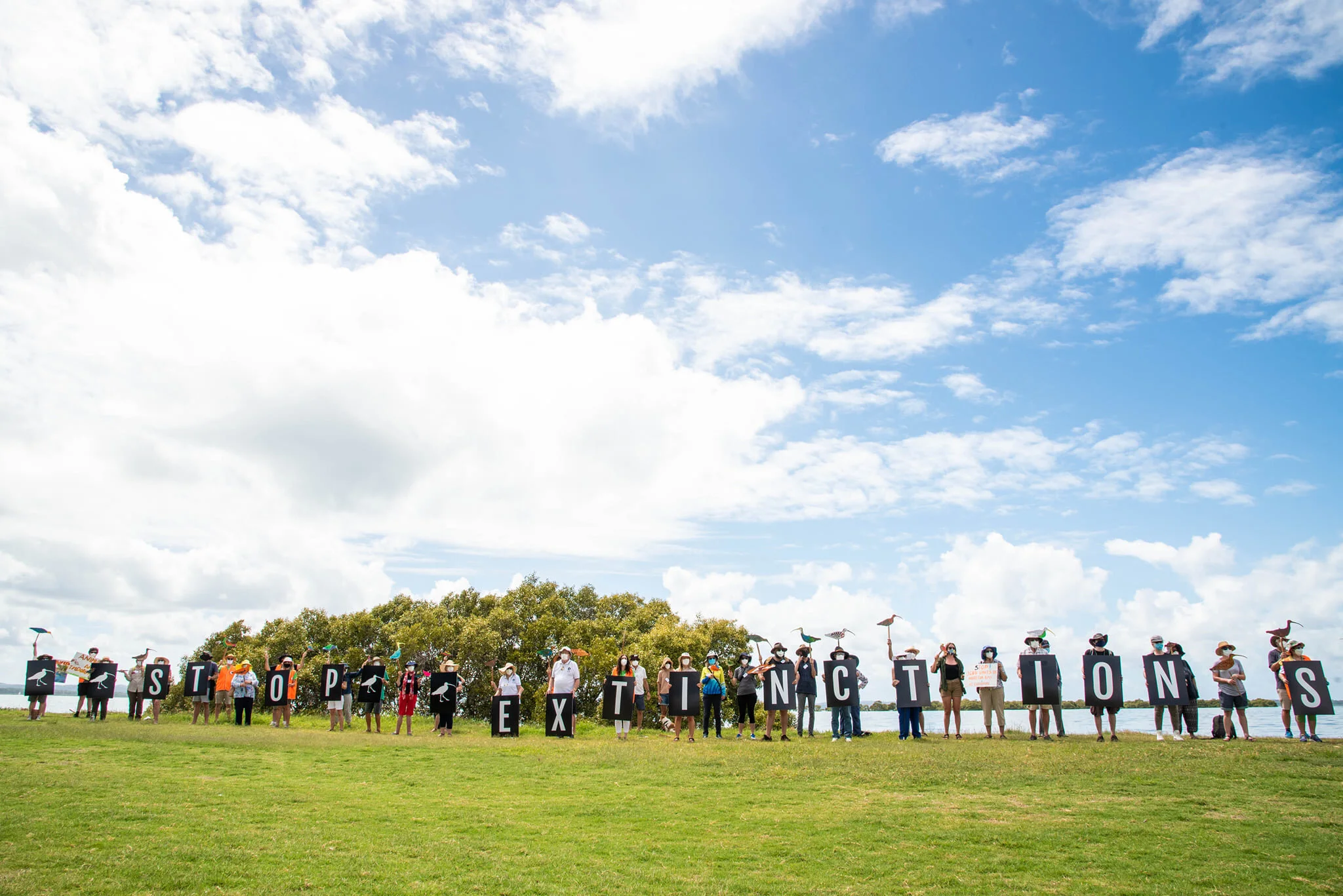 Join us and stand up for our wetlands before they're gone forever.