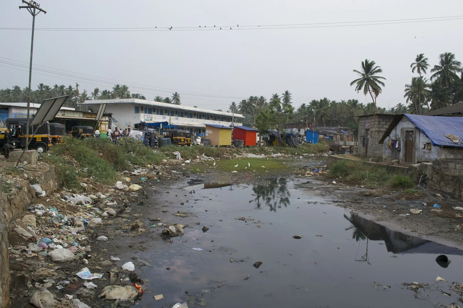 Gangaya estuary in Vizhinjam contaminated by pollutants from business, small scale factories and households