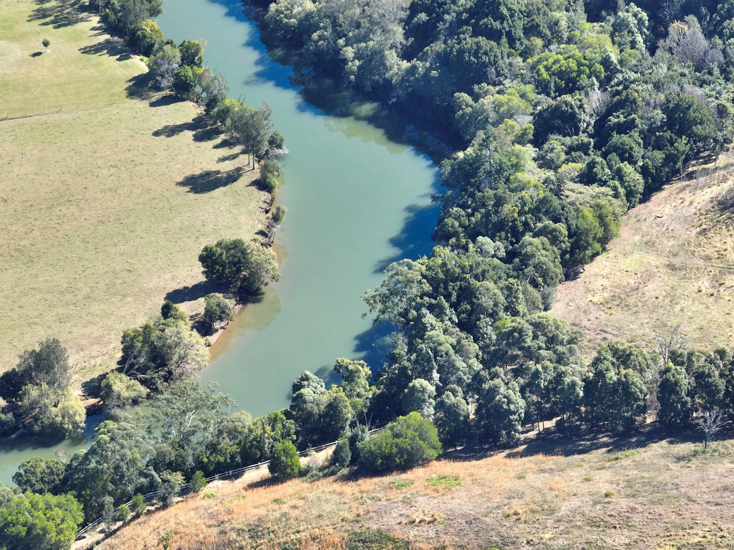 BLUE FOREST RESTORATION PROGRAMS