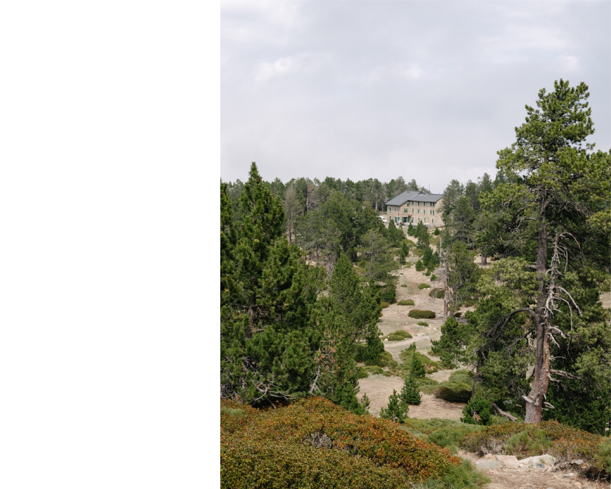 CORTALETS_MeP documents WEB2.png