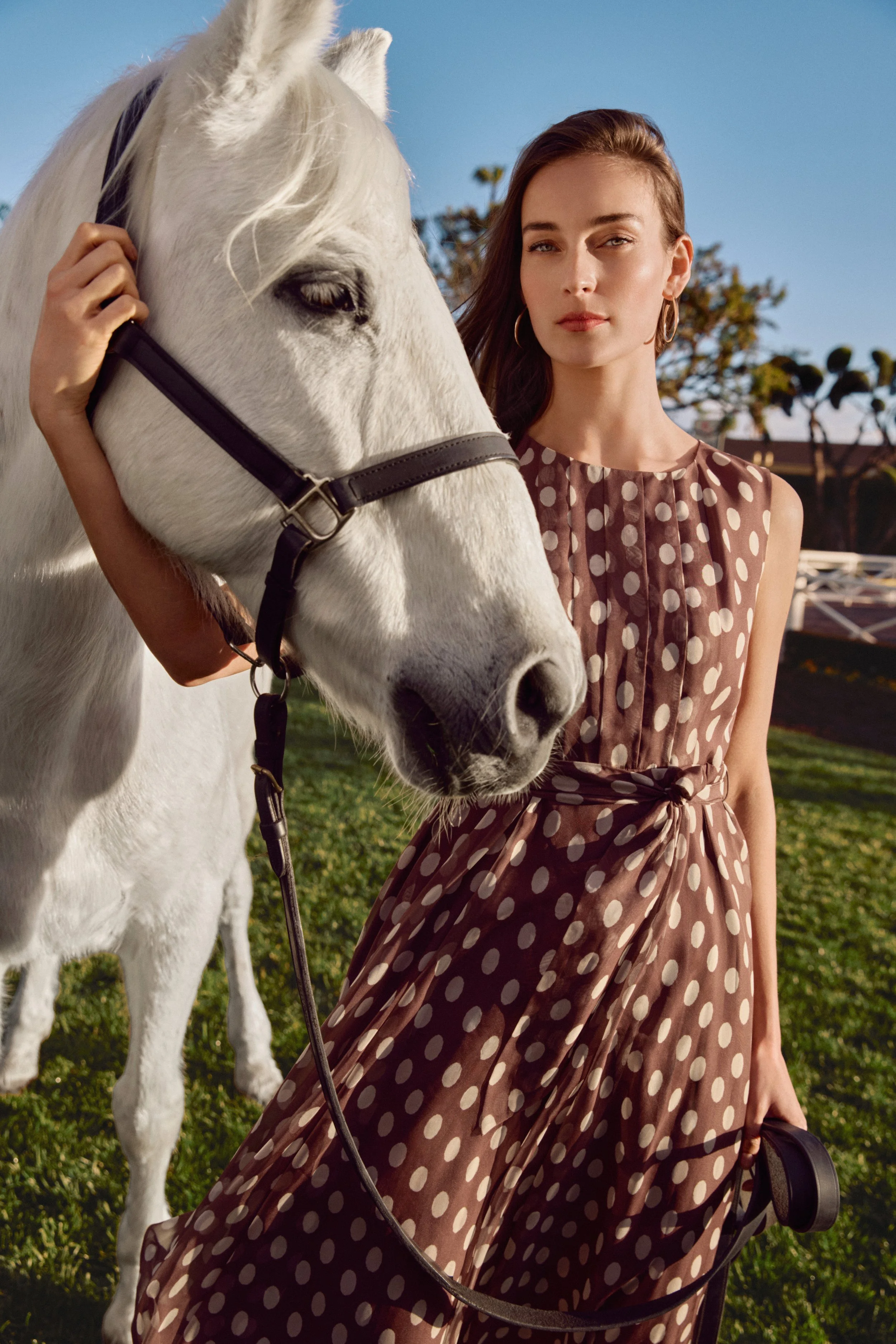 52_LUCINDA_SPOT_CHIFFON_DRESS_BROWN _1002164_7791.jpg