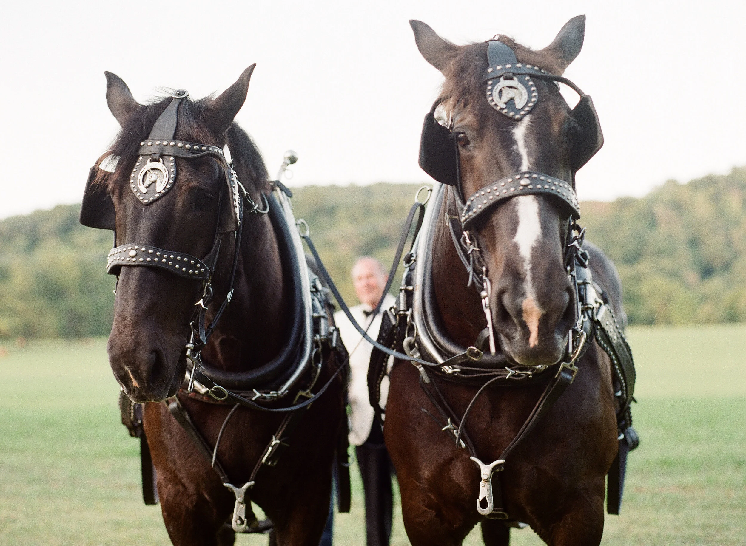 Brockman wedding / Pontotoc Farm Franklin, Tennessee — Tenn Hens Design