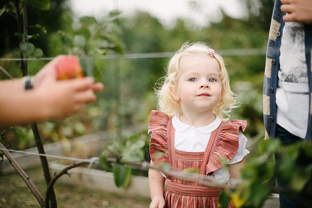 Homegrownveggies&love©RochelleCootePhotography-12.JPG