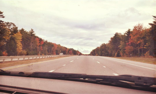Beautiful foliage on I95 North! Just screaming fall!