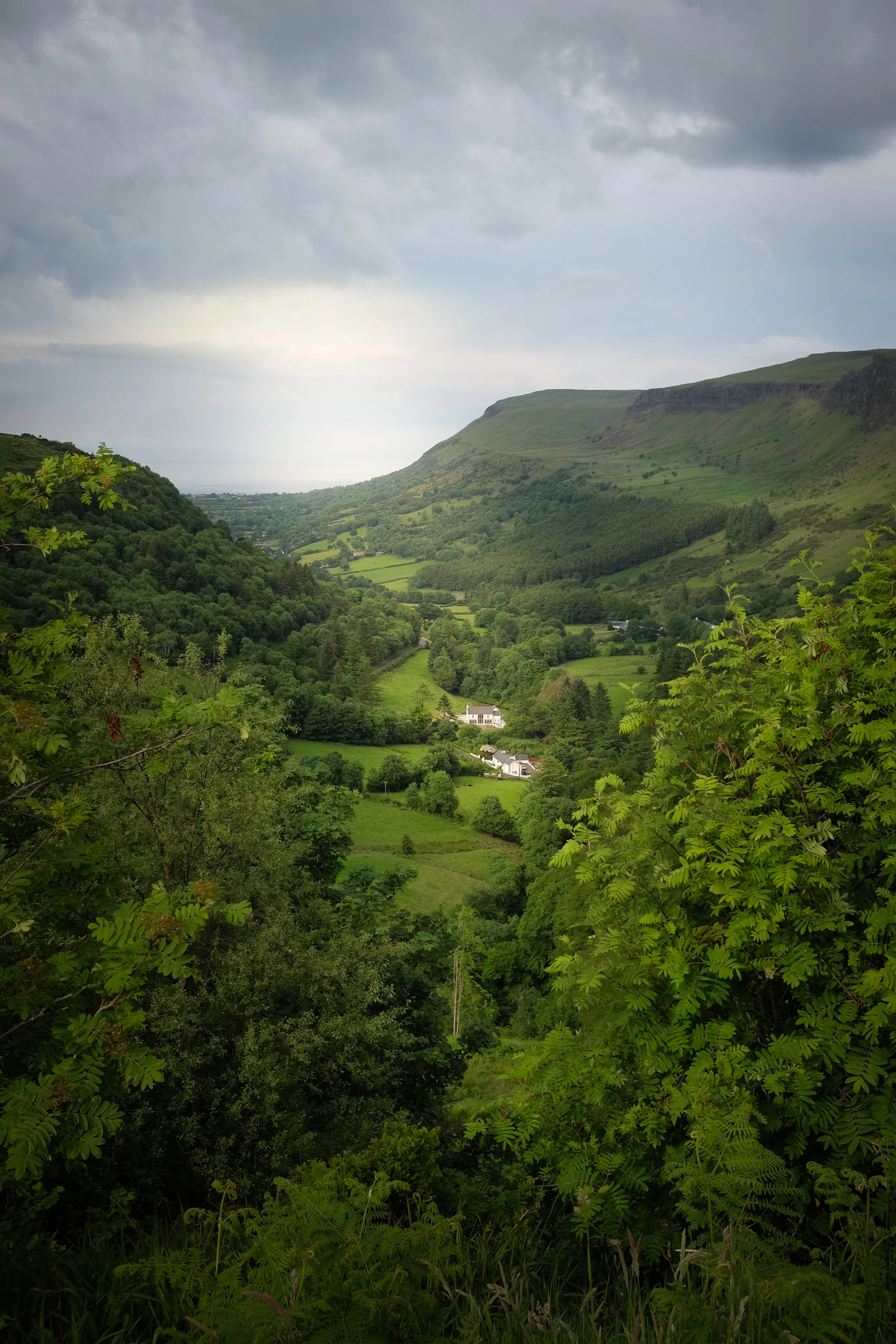 DSCF7010.jpg