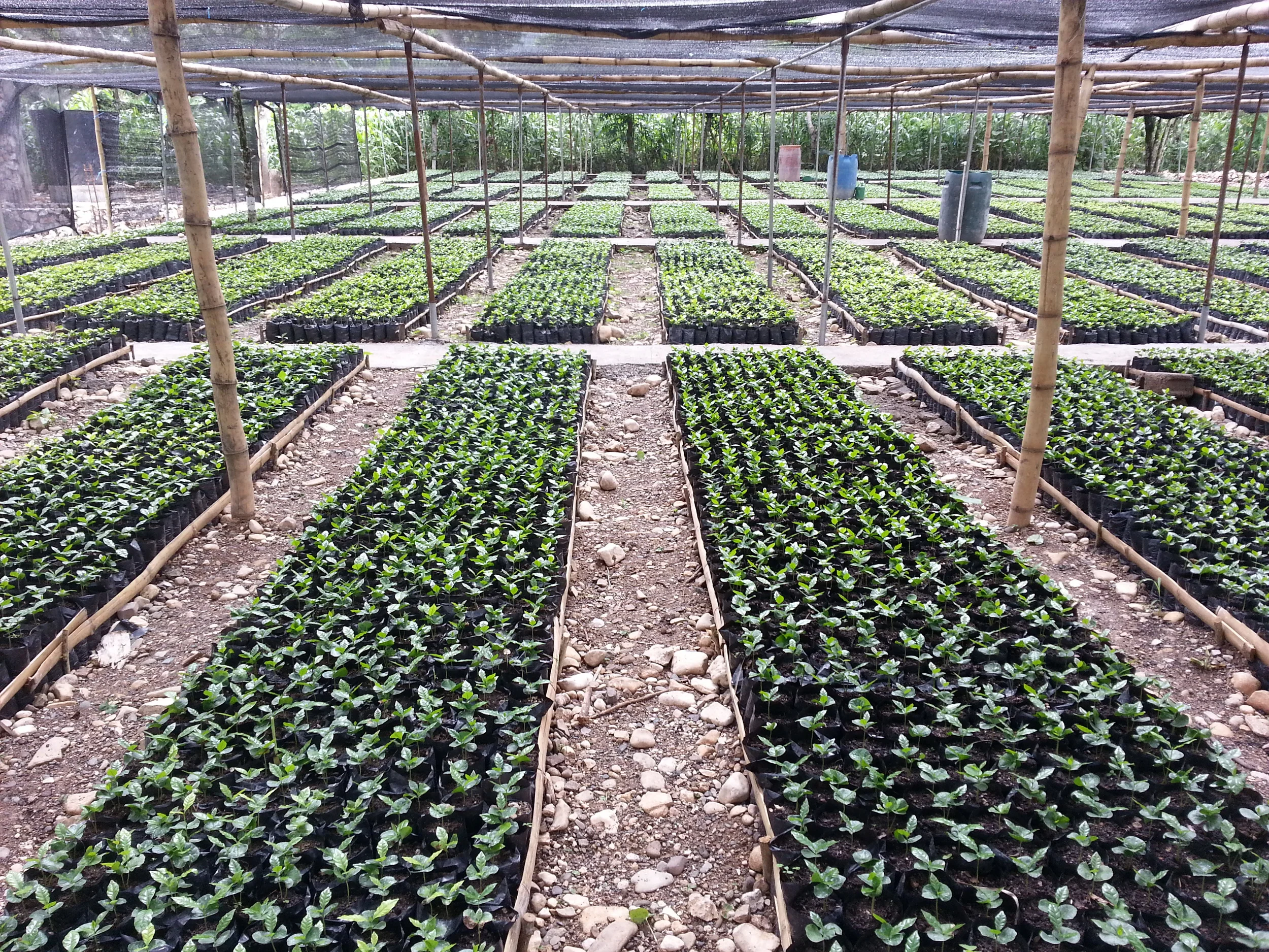 20140617_101002.jpg