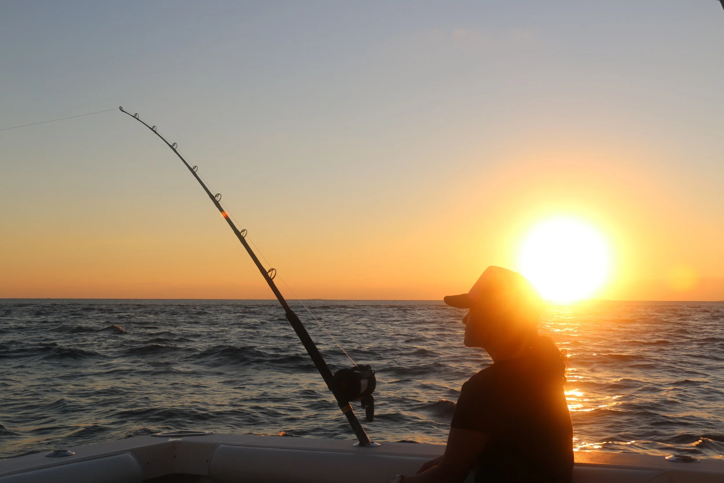 Reef Fishing — Deep Blue