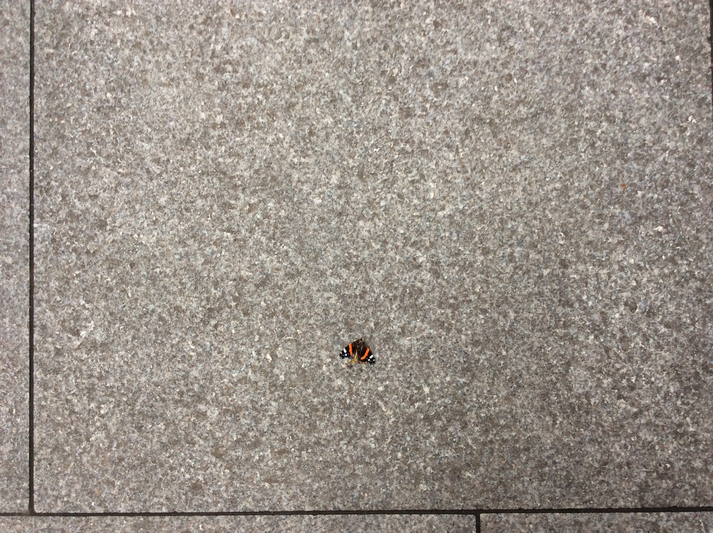 'The Composition of Death' (2014)