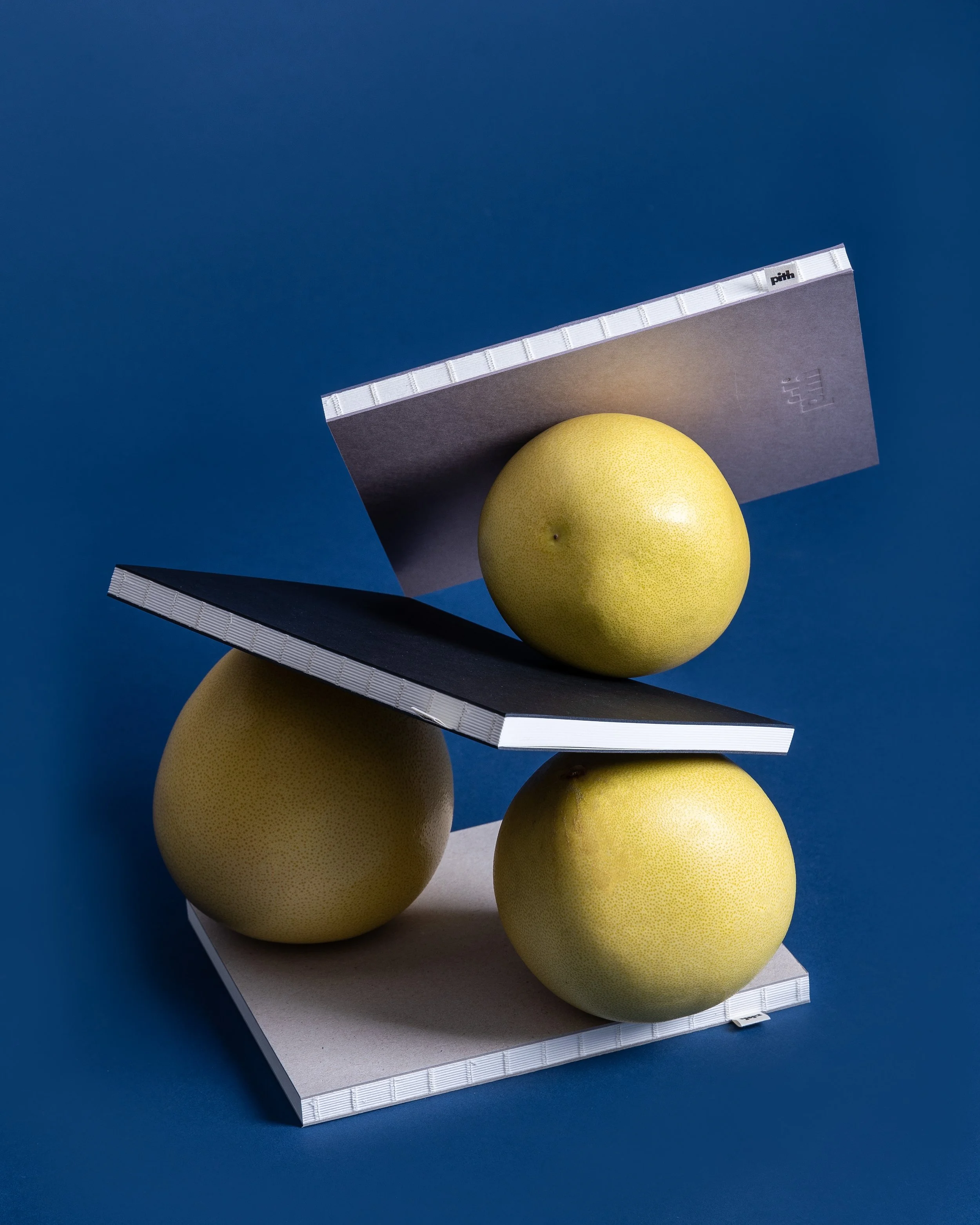 Pith planners CC1222-28.JPG