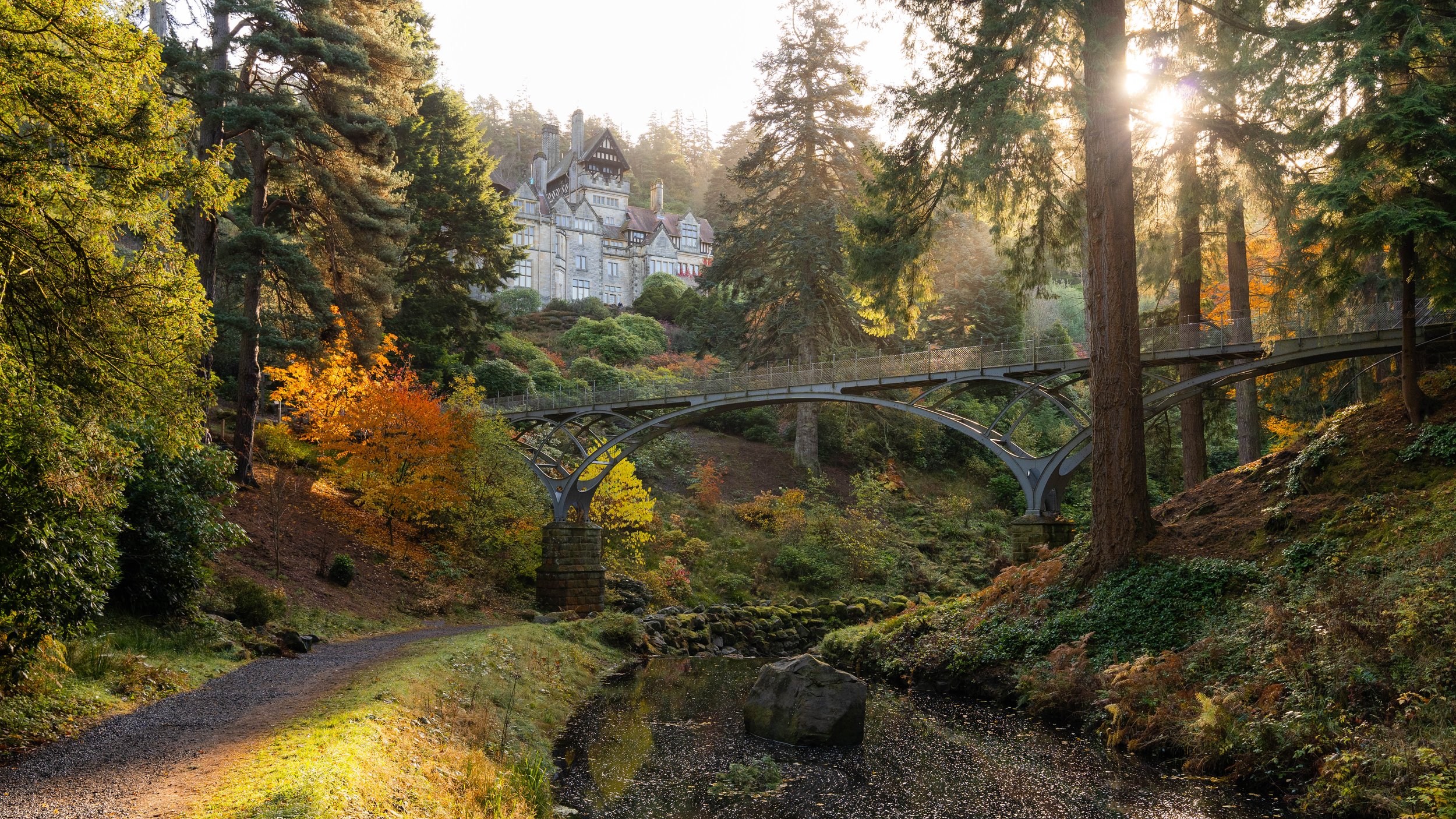cragside autumn 24 CCP sml-2.jpg