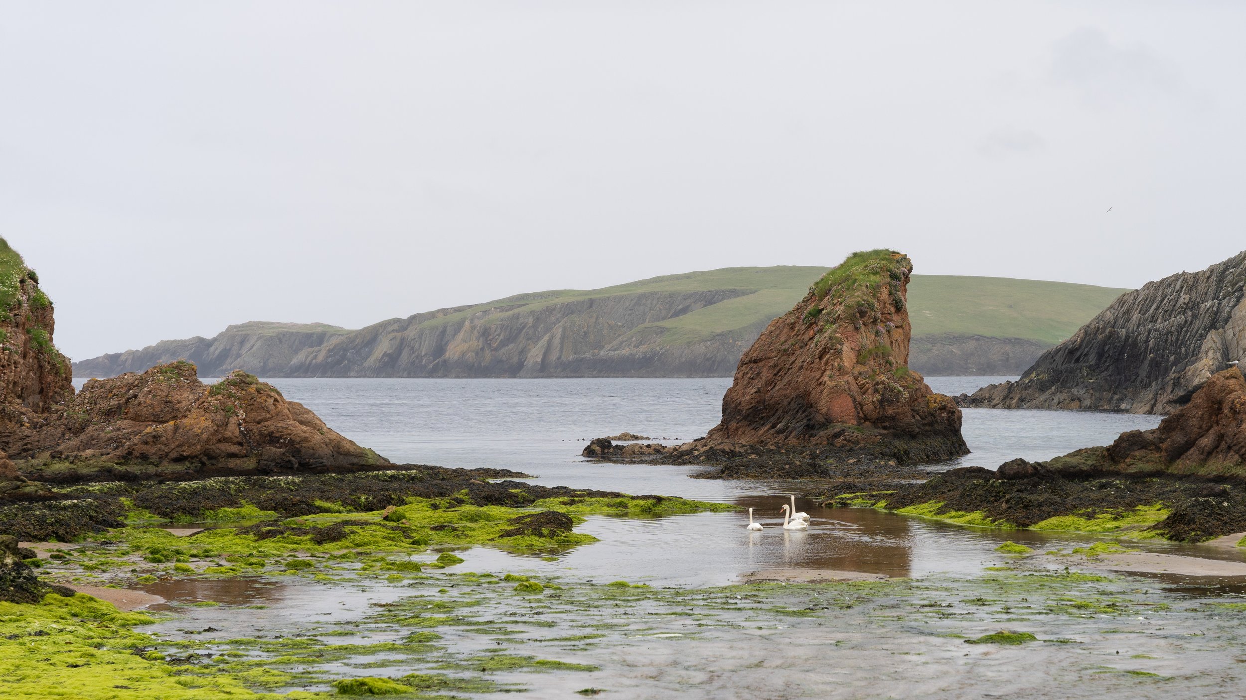 Shetland Islands CCP0624-13.jpg