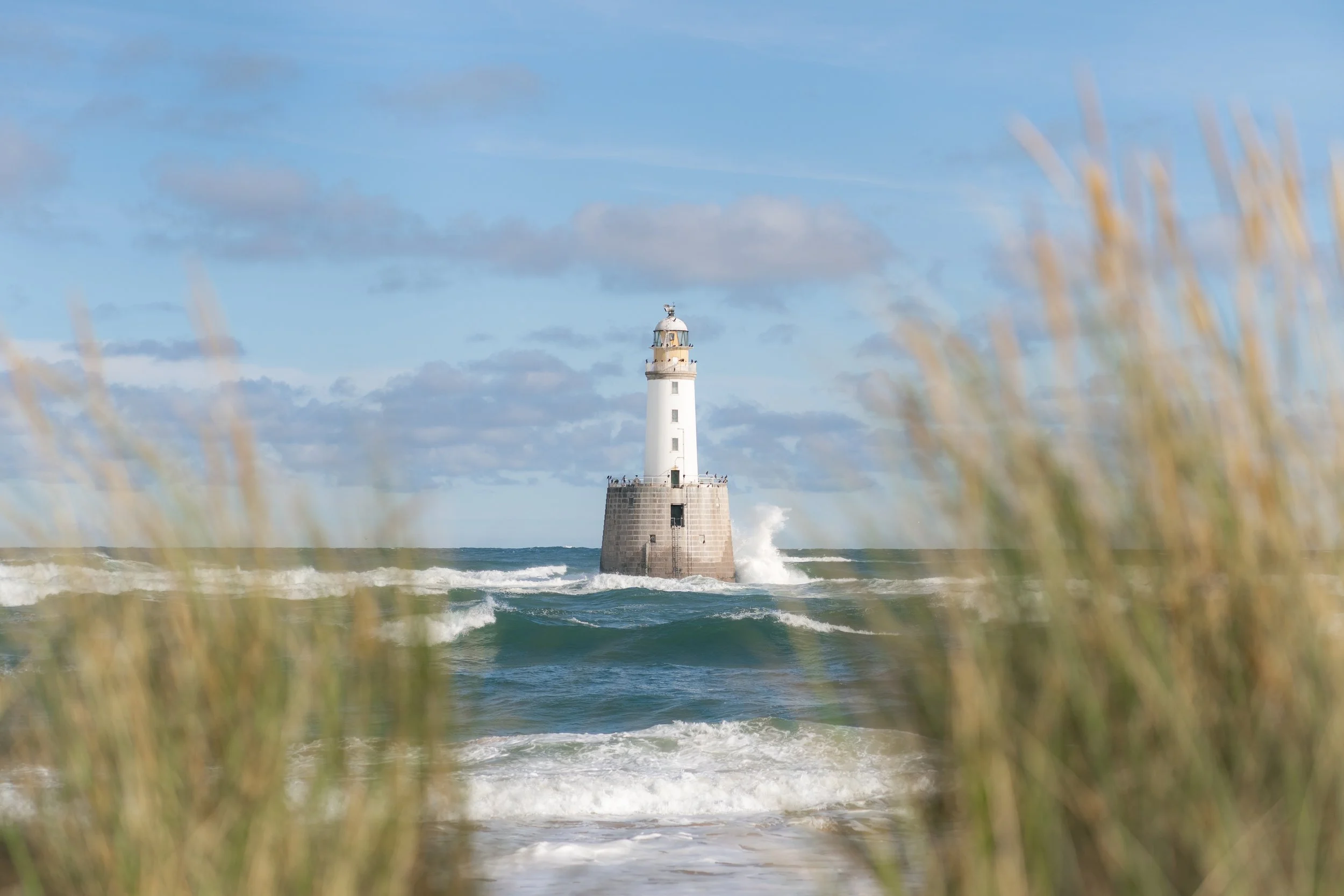 A Light In The Shallows