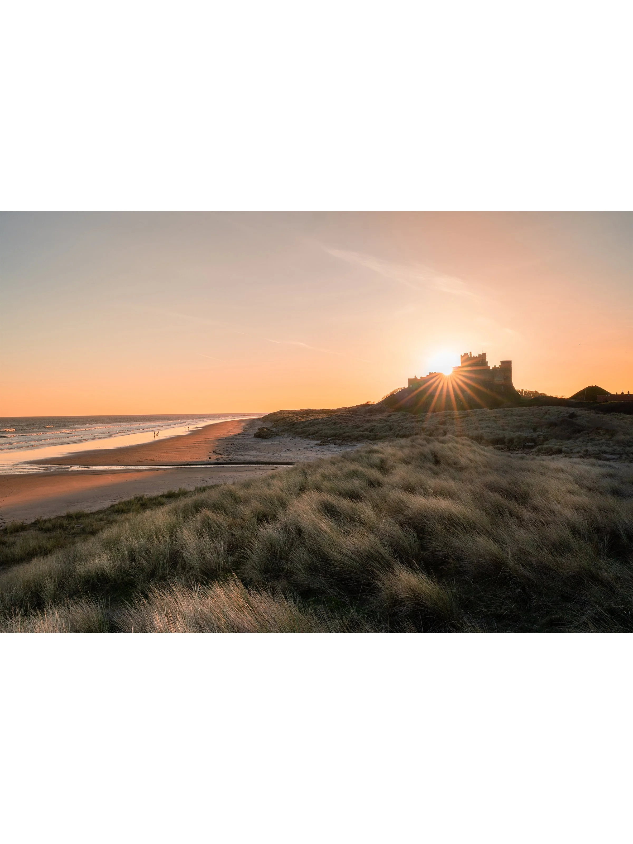 flare on the for 3x4.jpg