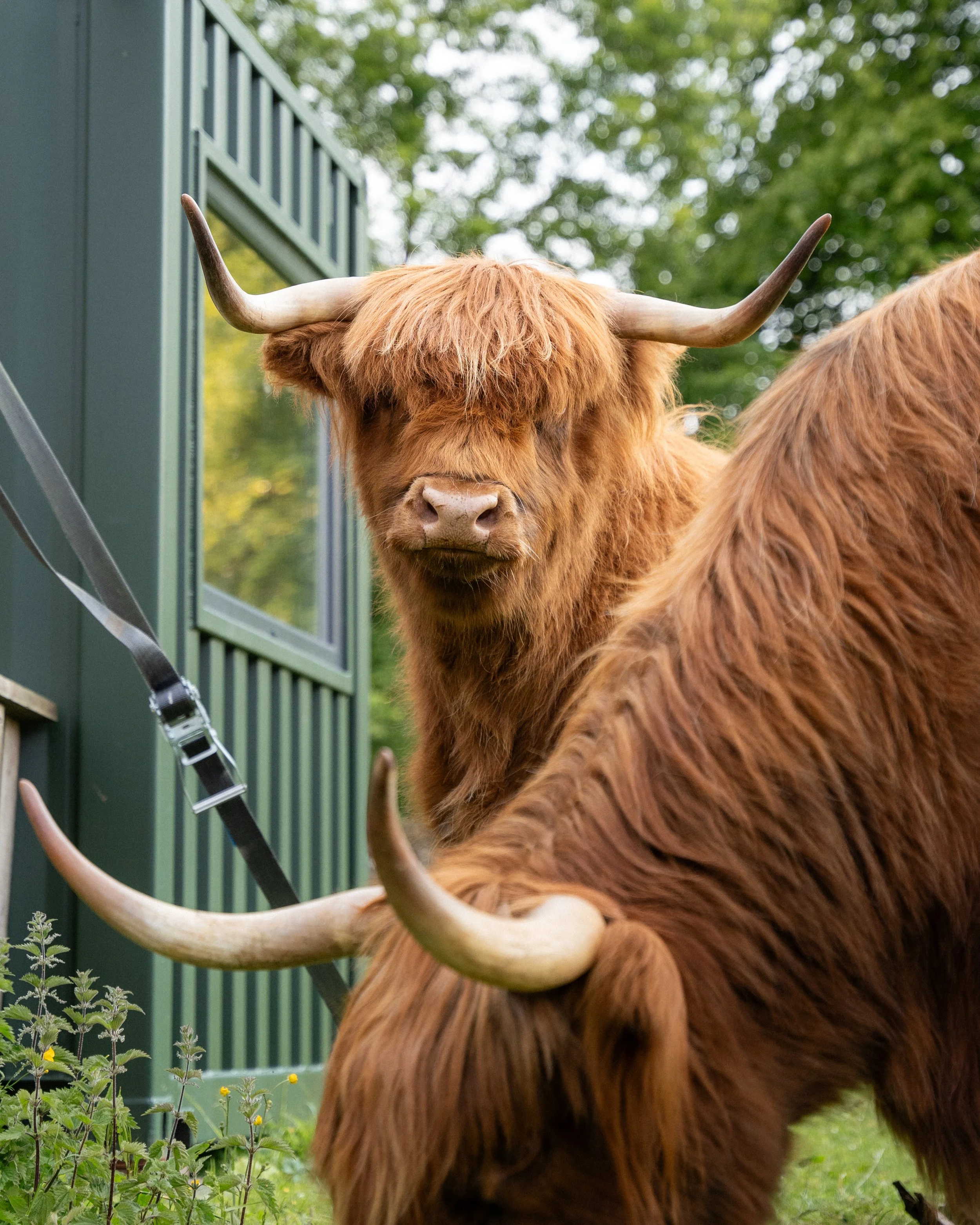 Embers this is northumberland CCP 2025 Full Set JPG-46.jpg