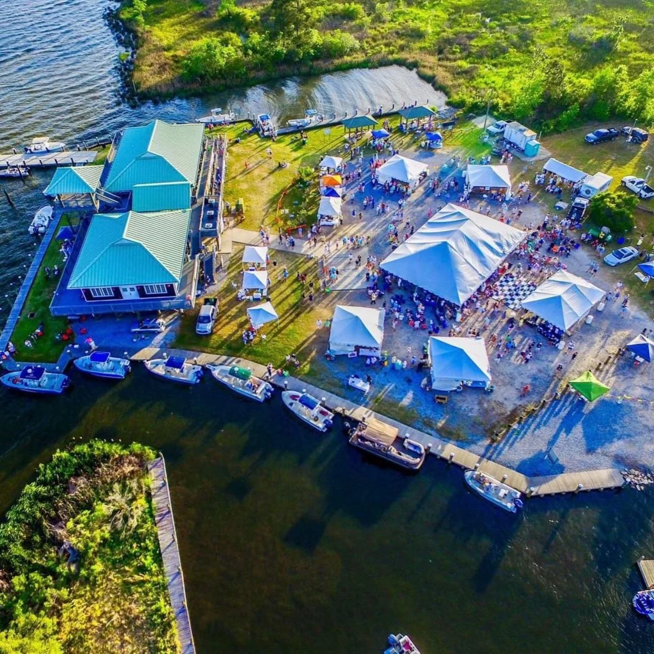 Help us support our local wildlife! Our place in the South is blessed with an ecosystem that lives along side us- this upcoming 16th annual  BALD EAGLE BASH will work to celebrate this life and protect it.  Come enjoy live music, DELICIOUS food from 