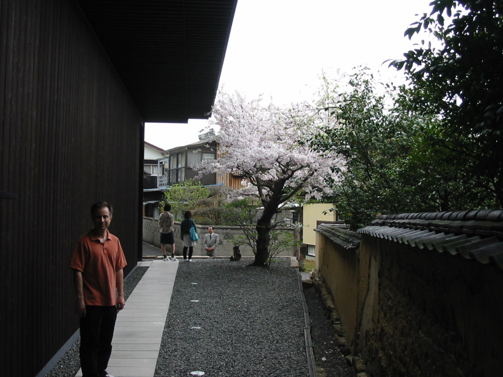 Benesse MH Turrell Cherry blossoms.jpg