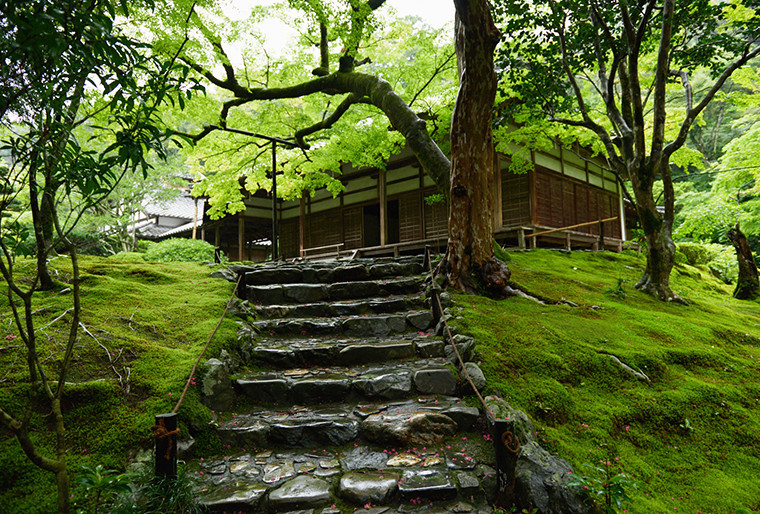 Moss temple stone step and pavilion.jpg