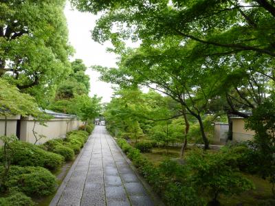 Pathway Daitoku-ji _izusen03.jpg