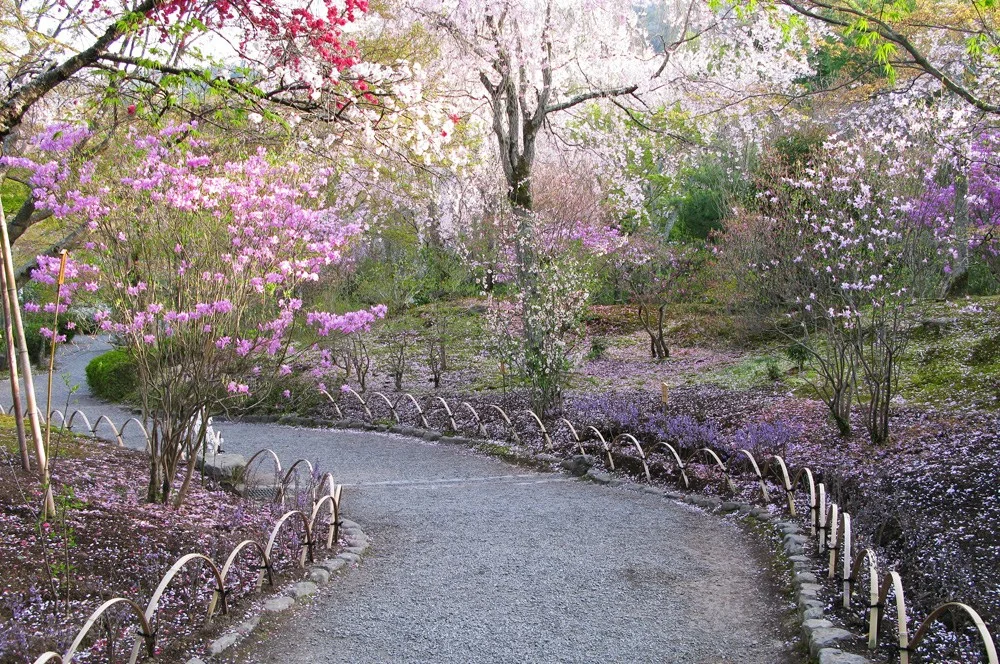 Hogo-in