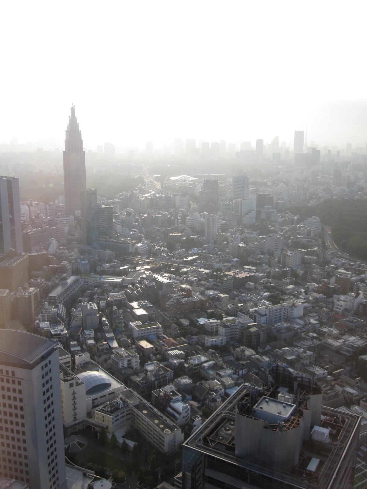 sky view shinjuku.jpg