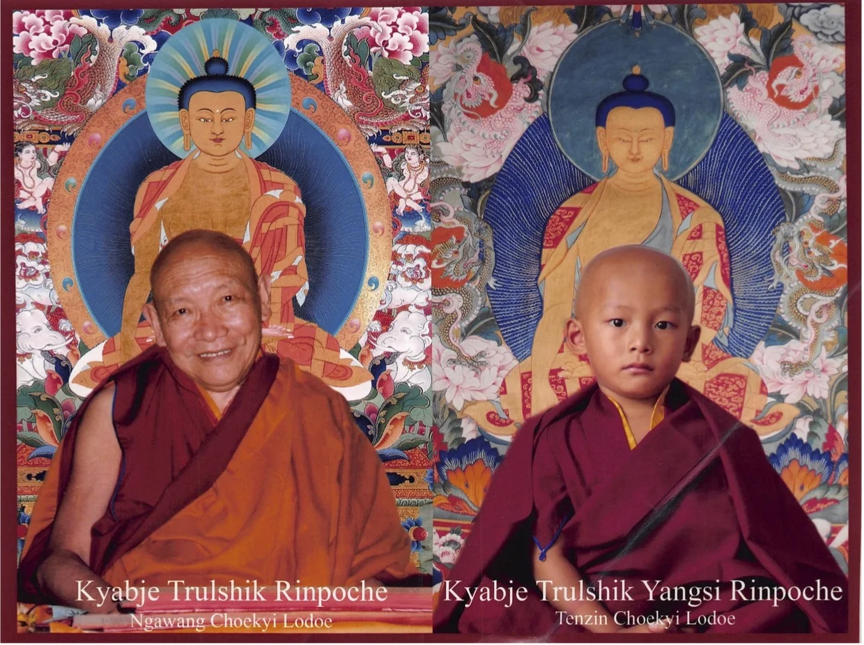 We’ll try to arrange an audience with Kyabje Trushik Yansu Rinpoche, the reincarnation of Kyabje Trulshik Rinpoche (“The Destroyer of Illusion”) and one of the main teachers of the Dalai Lama