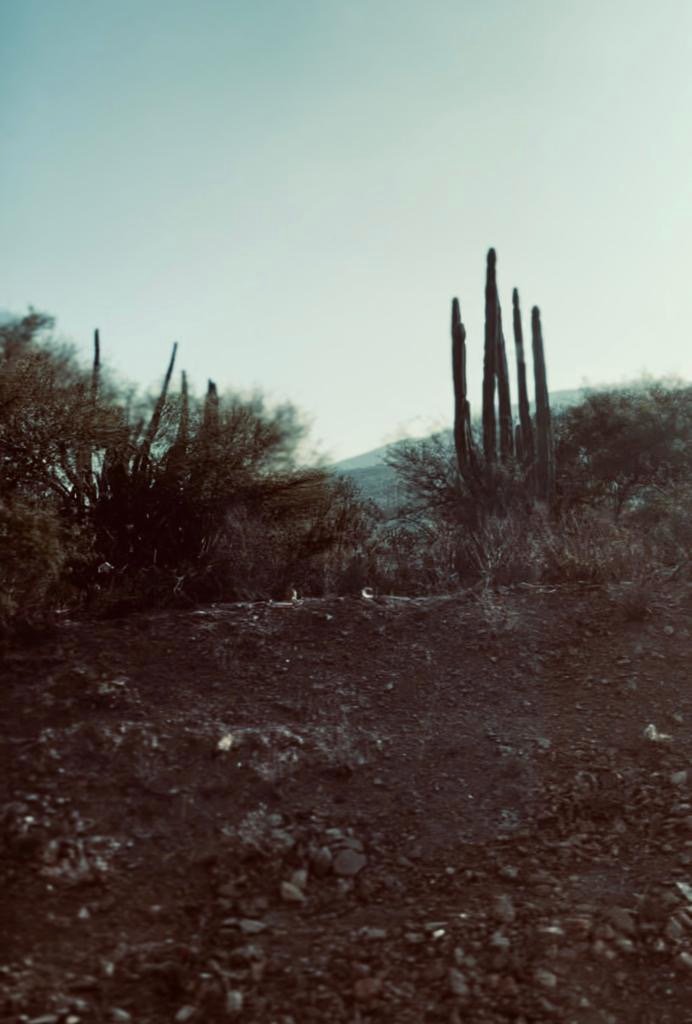 Sierra Gorda Bioreserve#© Marcus Wiley